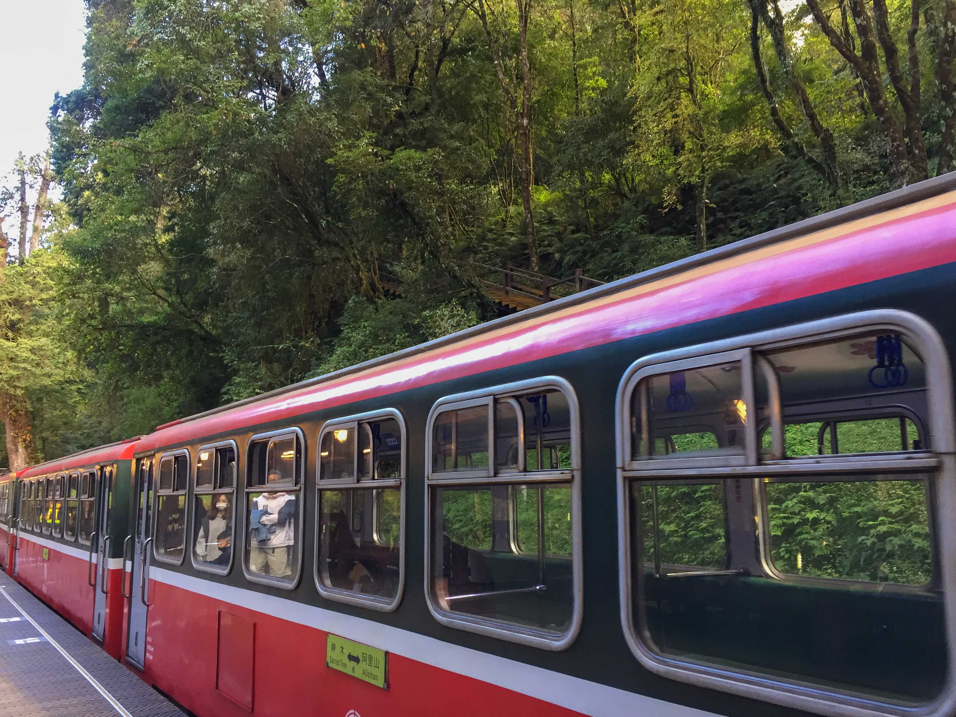 在森林遊樂區裡搭火車遊山。蕭秀琴攝