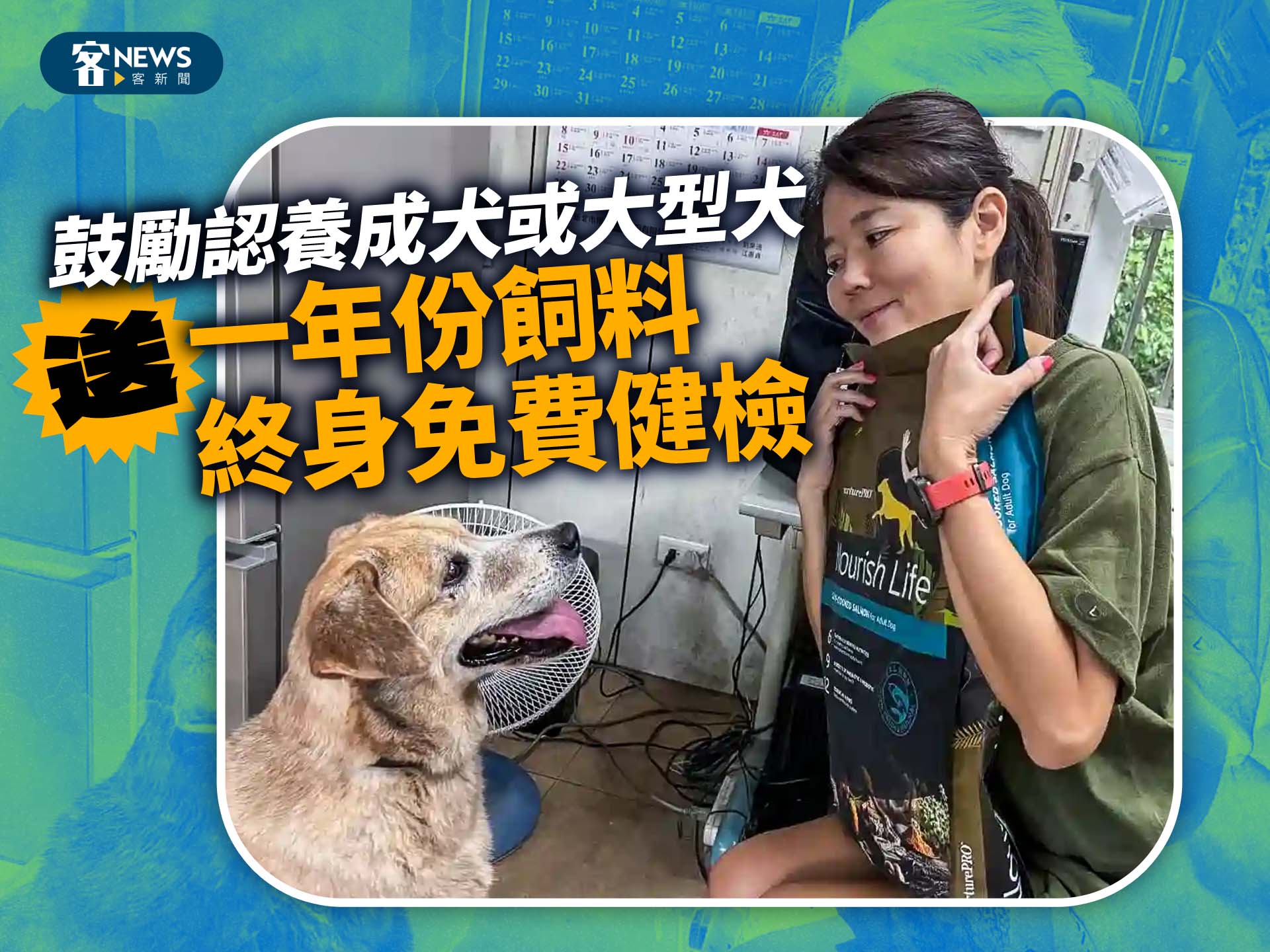 鼓勵認養成犬或大型犬　送一年份飼料、終身免費健檢