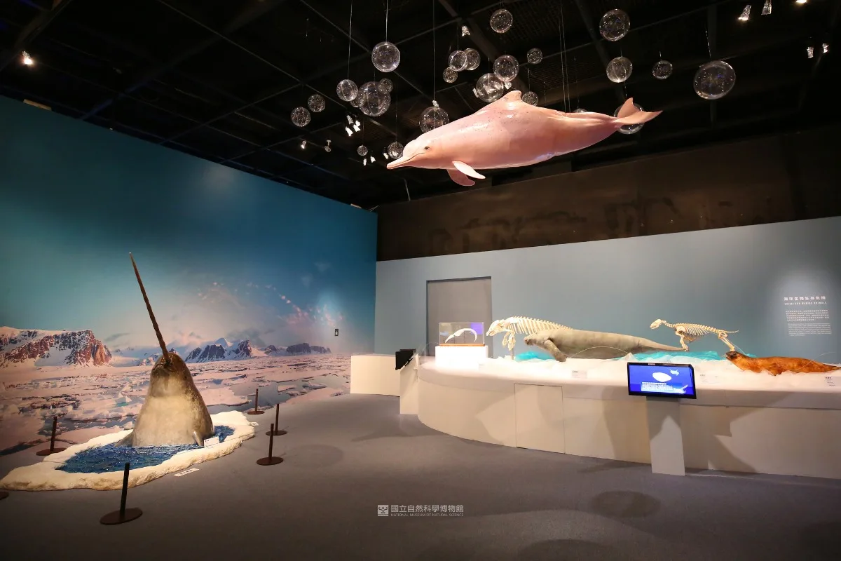 全球地表均溫連13年破紀錄　科博館「氣候行動」開跑