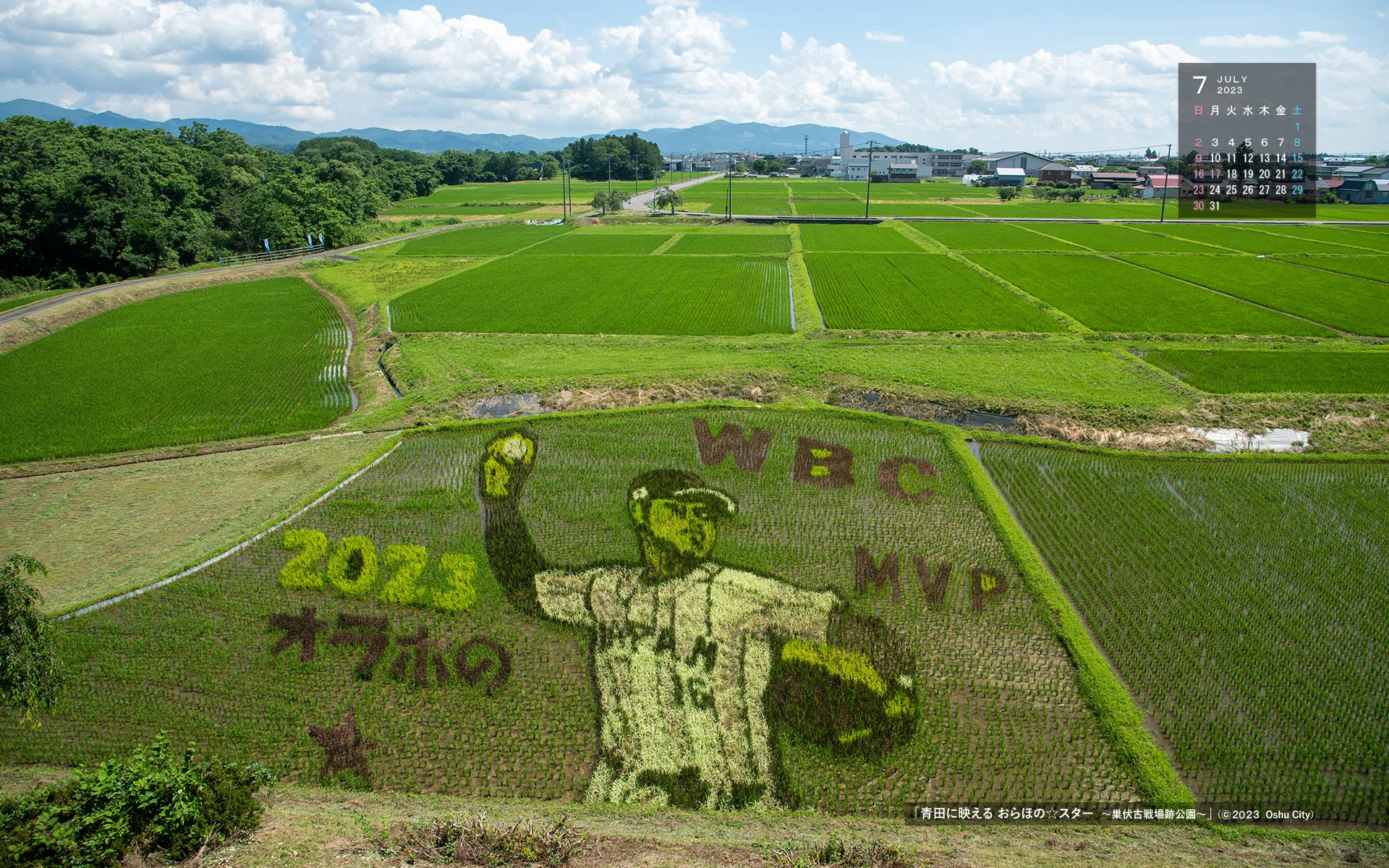 去年（2023年）的大谷翔平稻田藝術。翻攝自奧州市FB