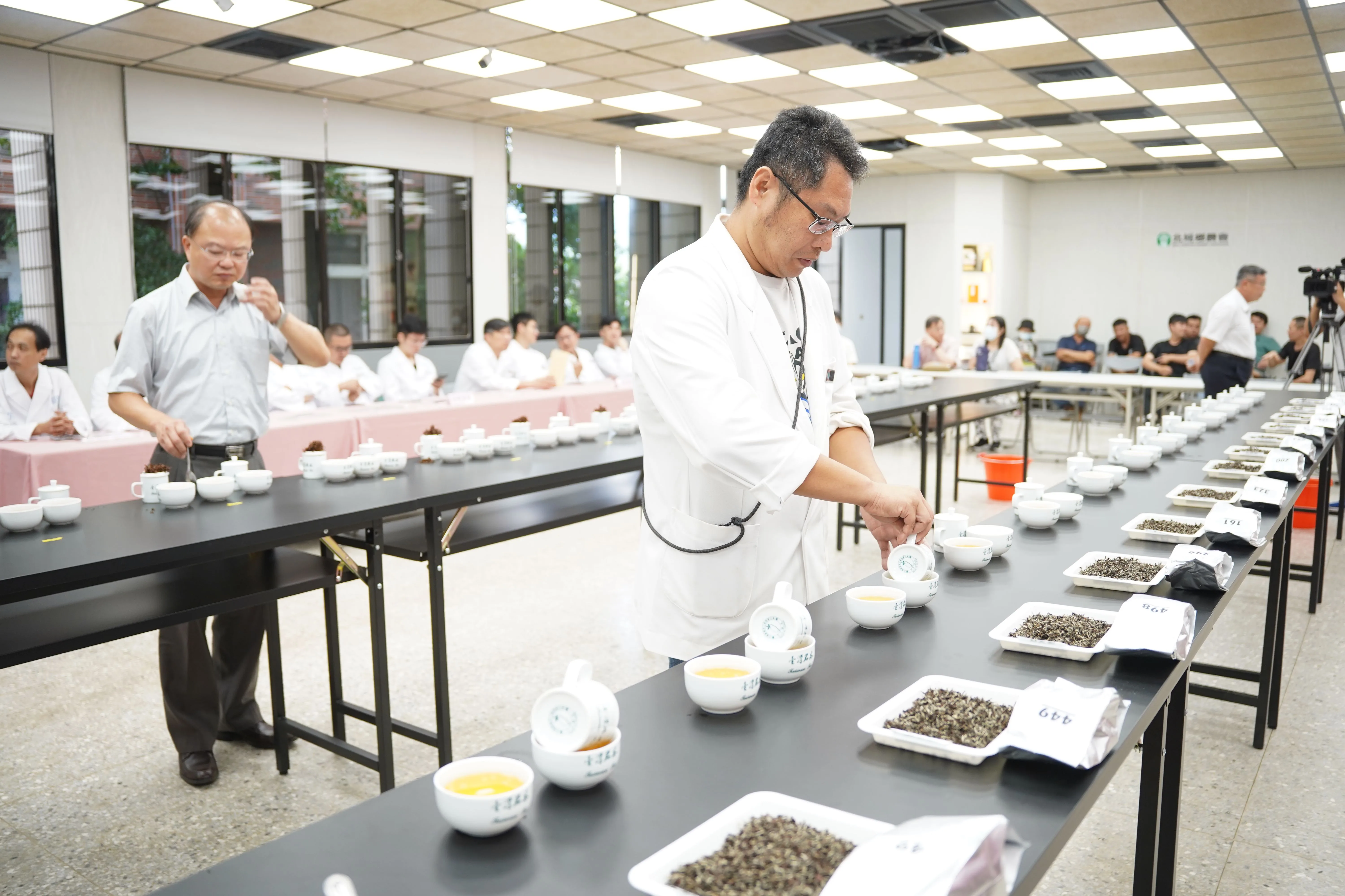 東方美人茶評鑑現場。新竹縣政府提供