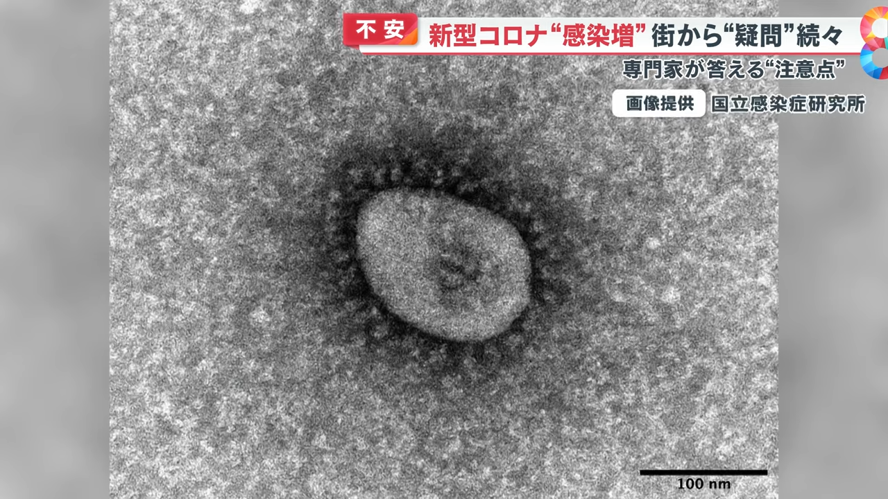 電子顯微鏡下的KP.3變異株。翻攝自めざまし8チャンネル官方《YouTube》頻道