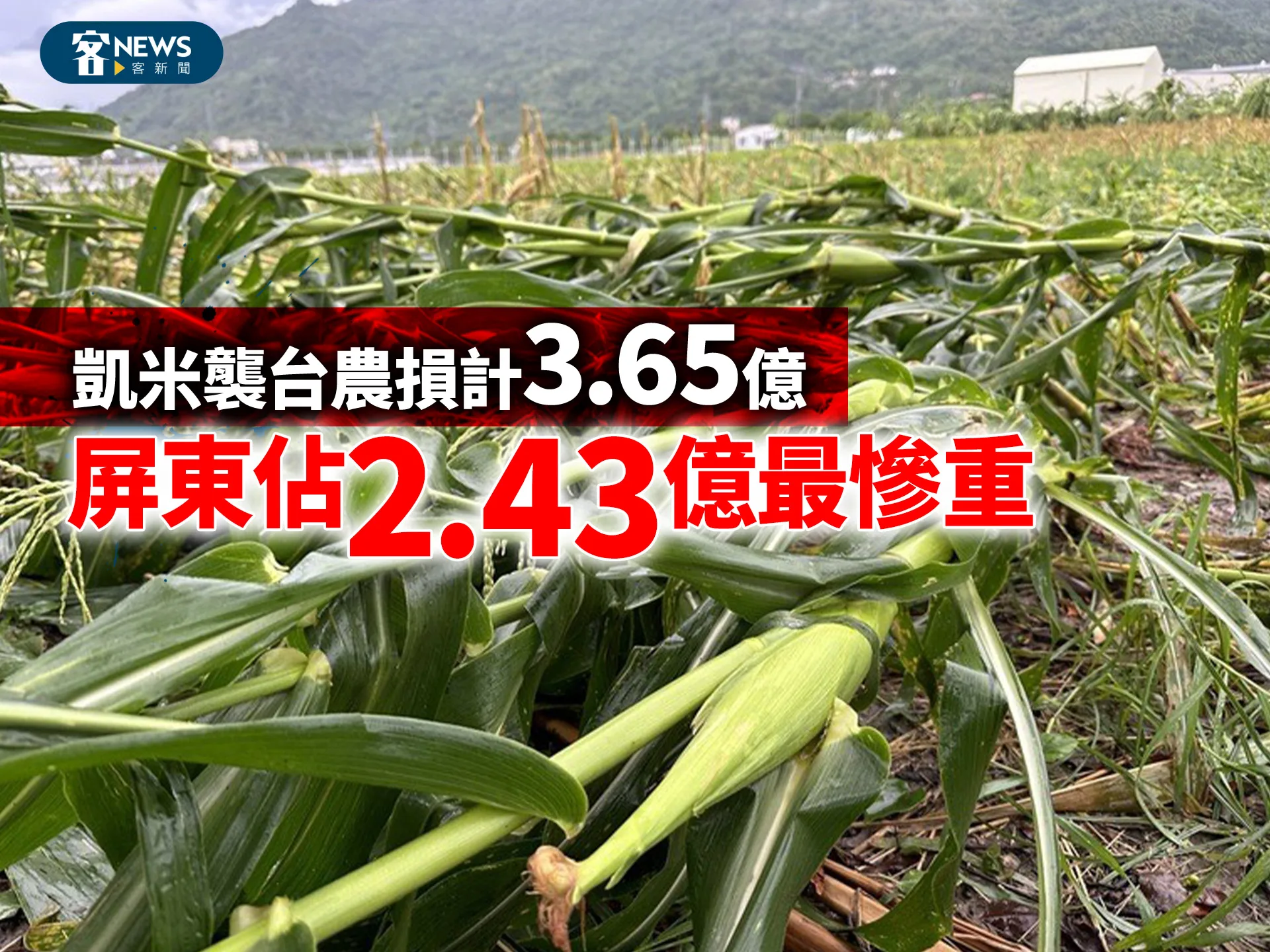 凱米襲台農損計3.65億元　屏東佔2.43億元最慘重