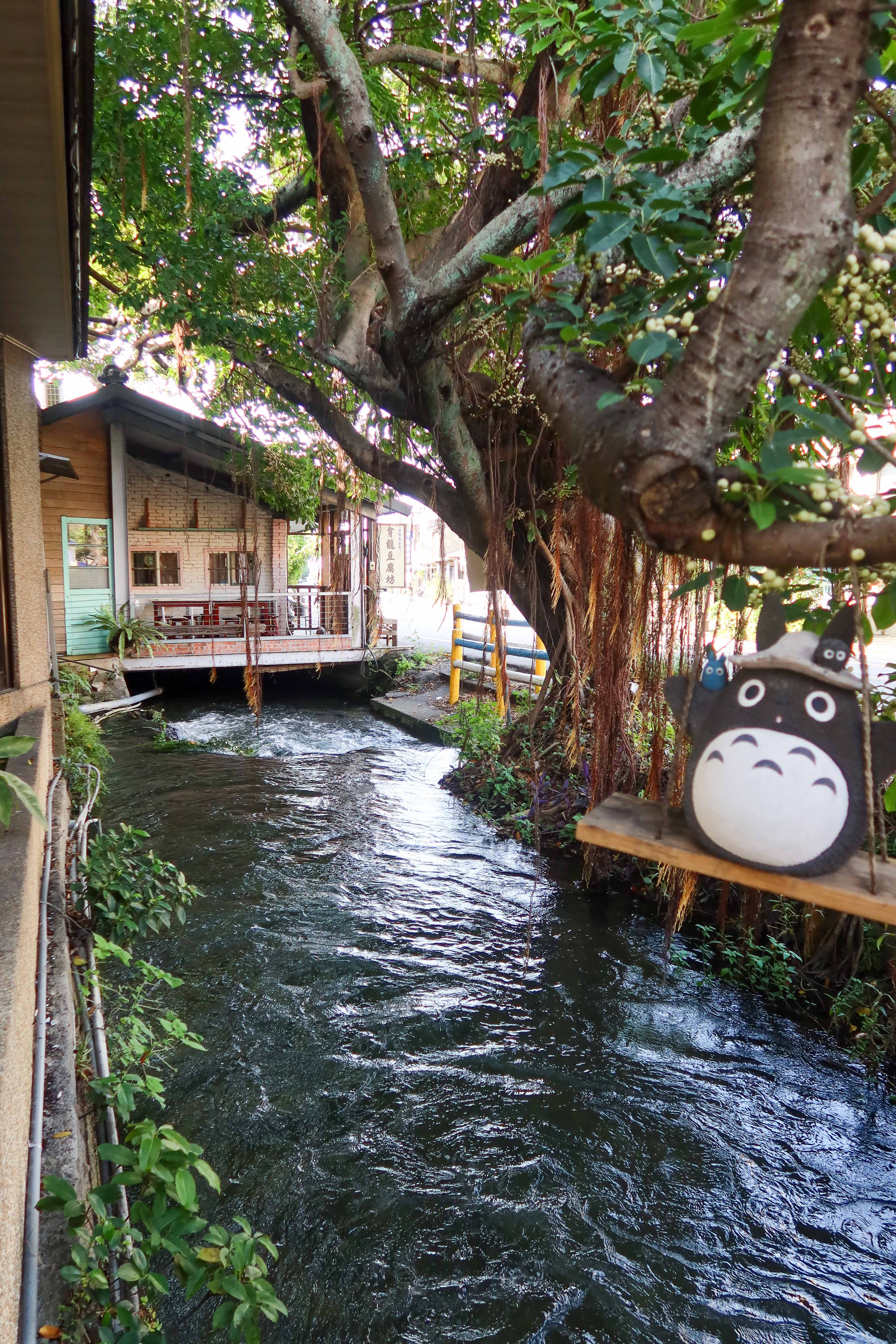 公館穿龍圳從河頭(福基)取後龍溪水,圖為圳水流經公館福樂麵店、穿龍豆腐坊,水質非常清澈。何來美攝