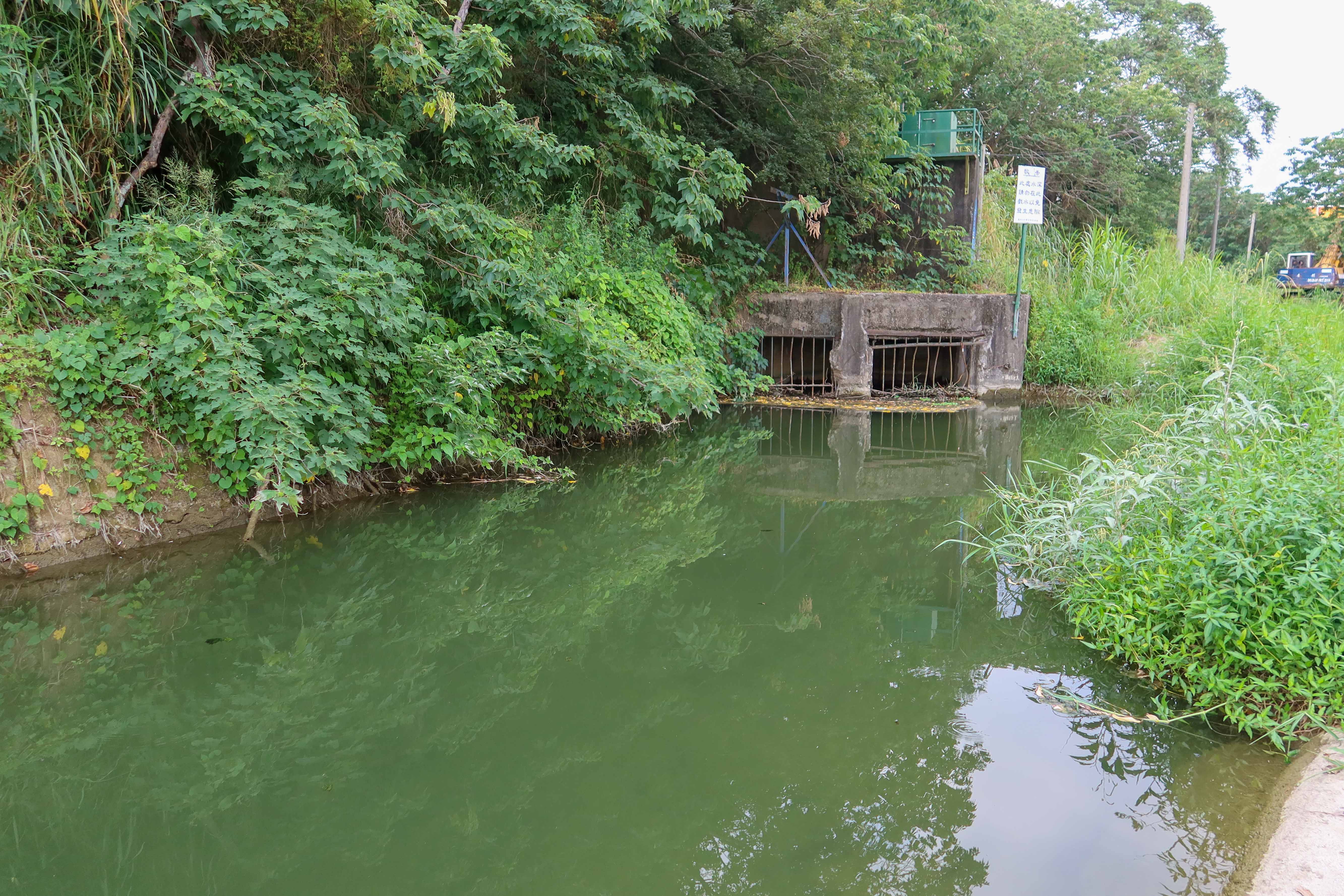 苗栗市龜山大埤圳在龜山頭分圳,即三汴圳(維祥、田寮、西山圳),流經苗栗市區。何來美攝