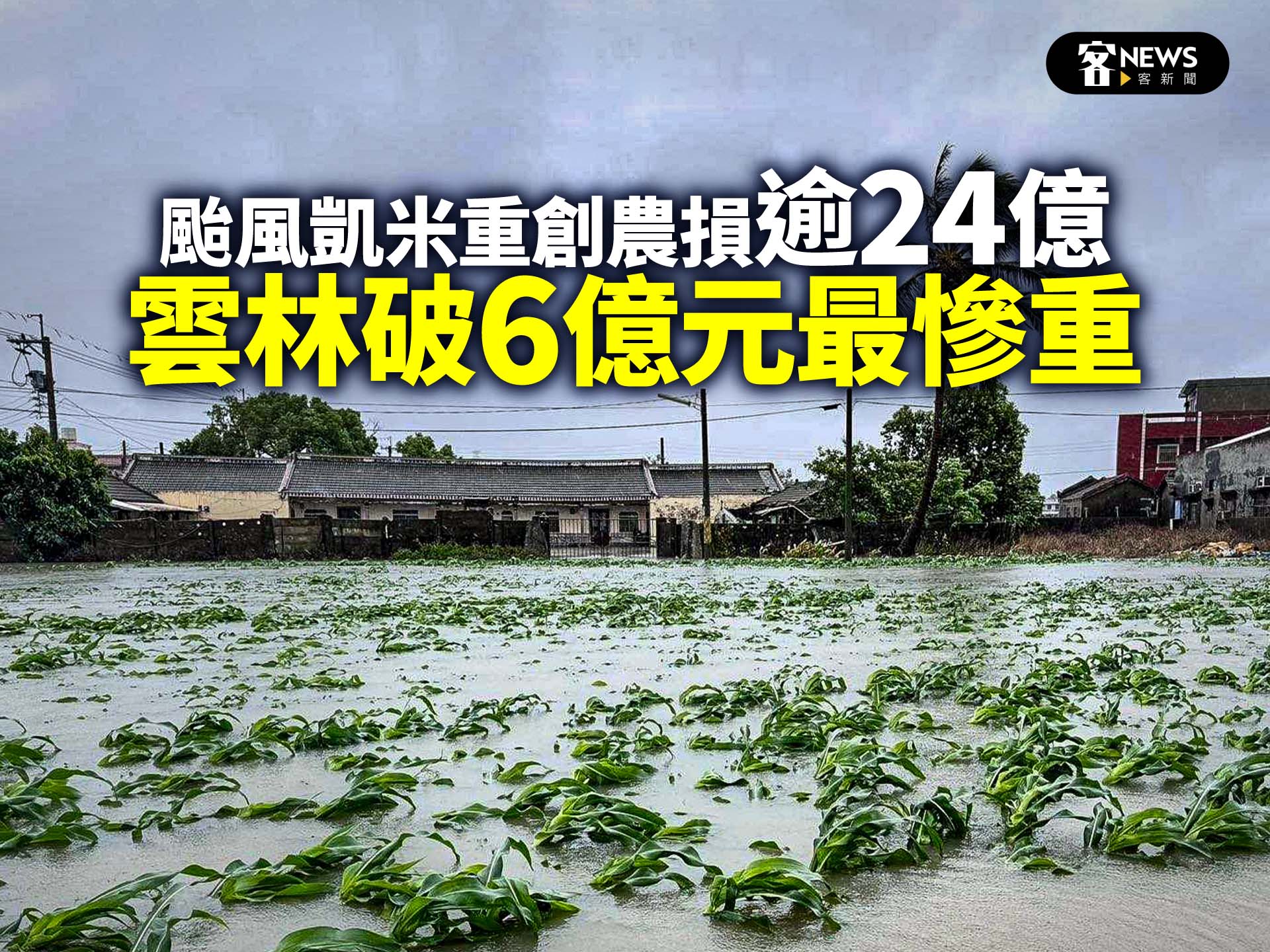 颱風凱米重創農損逾24億　雲林破6億元最慘重