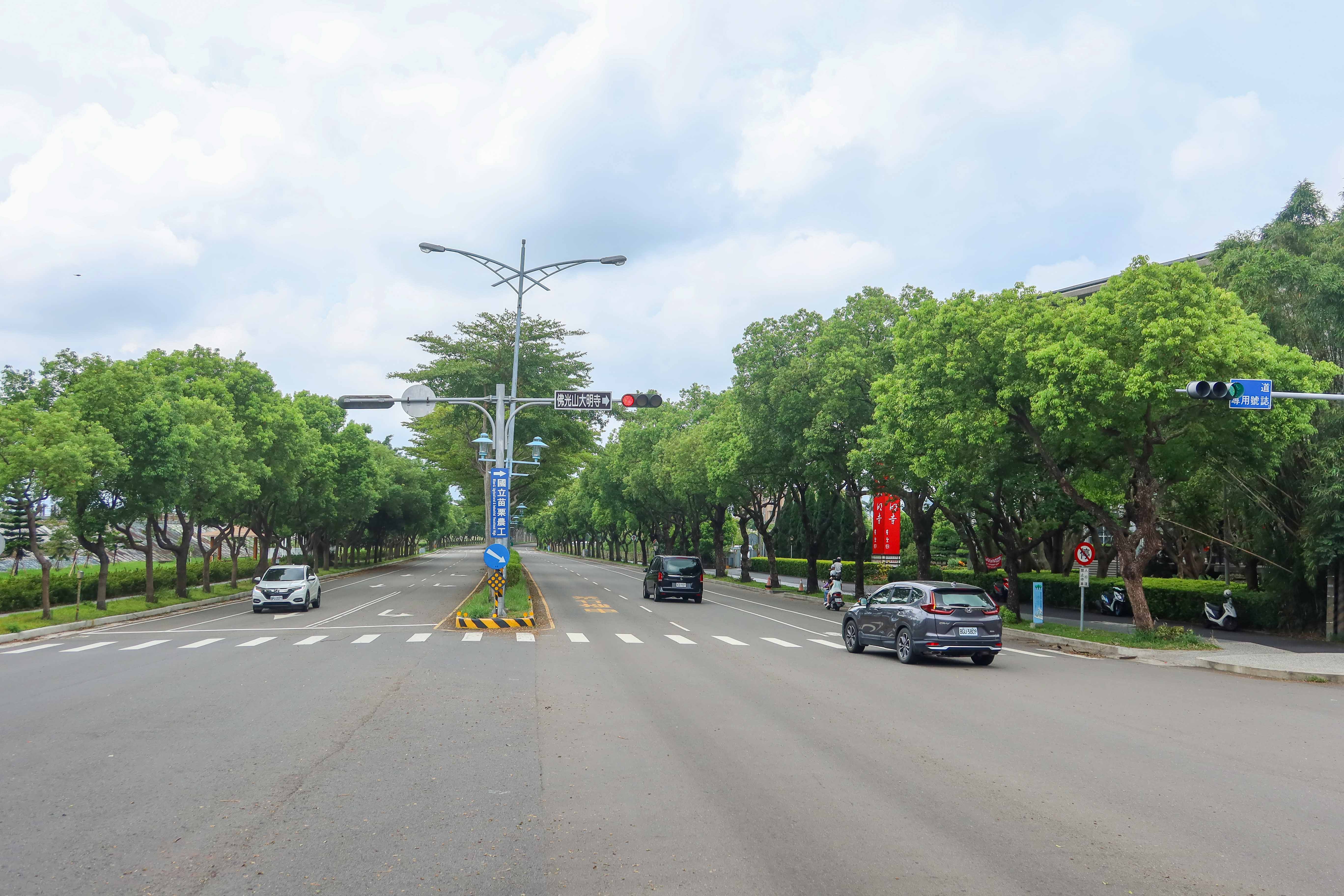 苗栗市外環道是謝金汀擔任縣長時沿著後龍溪堤防開闢,後為紀念蔣經國命名「經國路」,已成全縣最美的林園大道,圖為經國路苗栗農工前路段。何來美攝