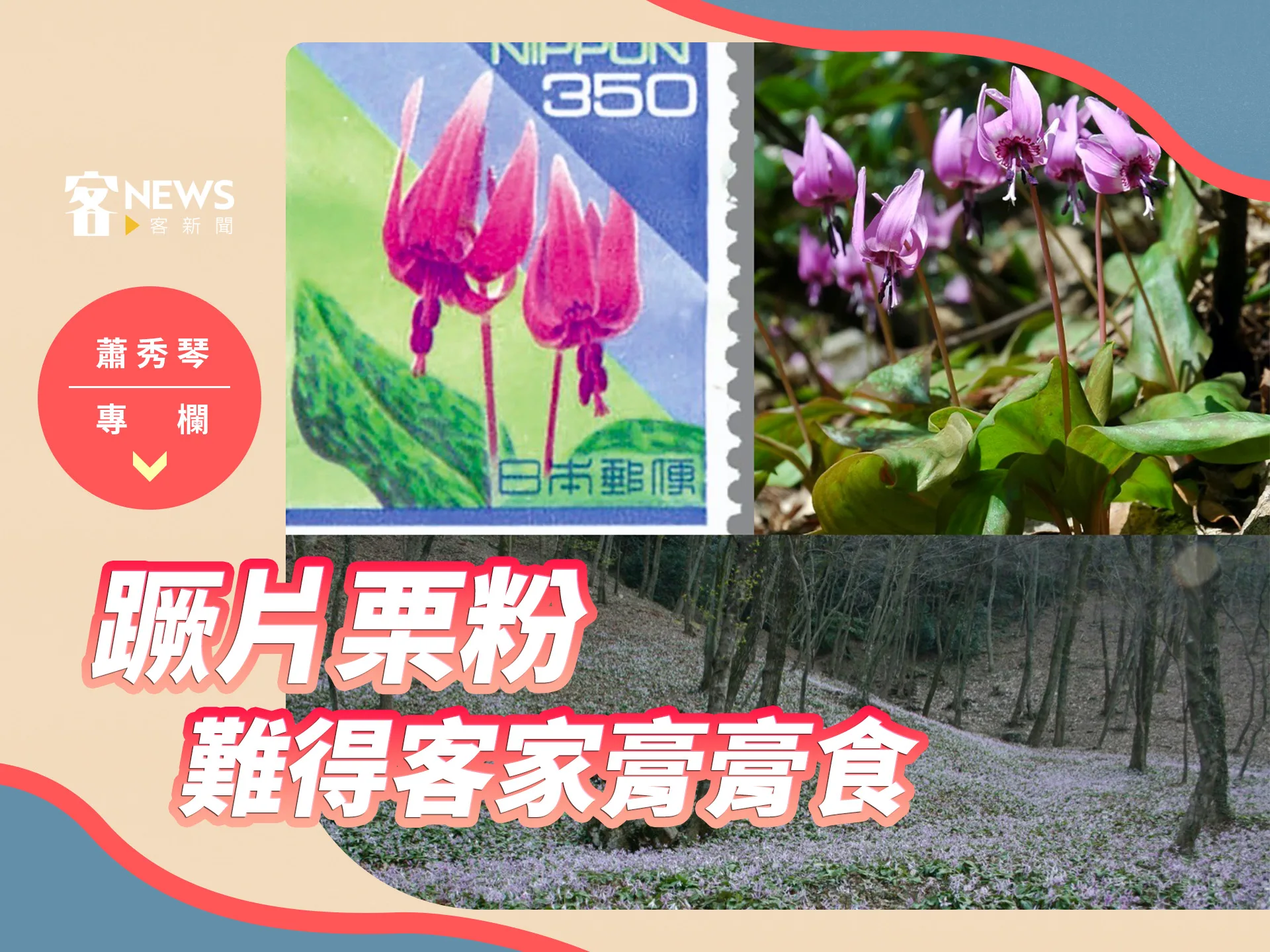 蕭秀琴專欄／蹶片栗粉　難得客家膏膏食
