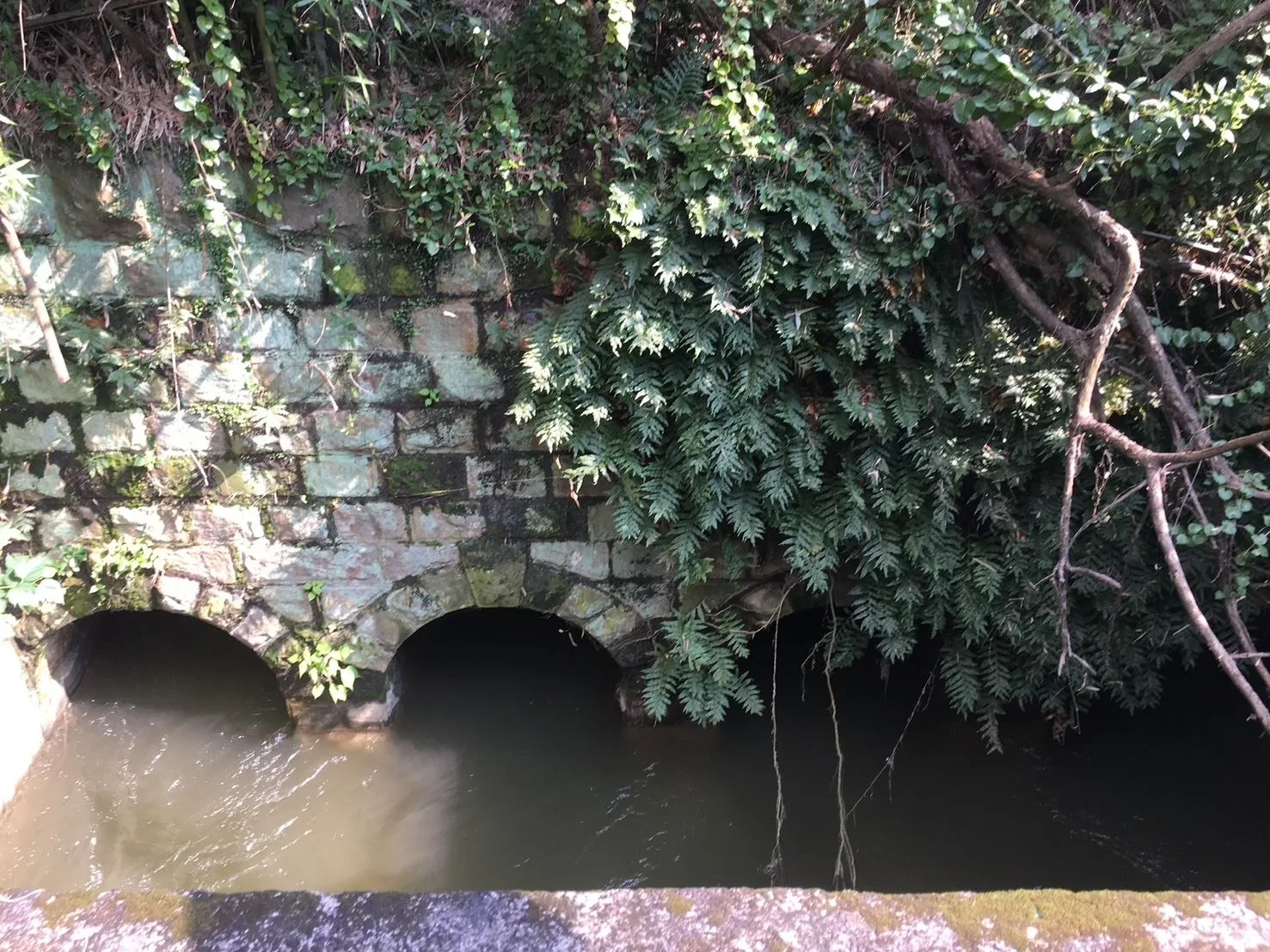 苑裡圳舊水門，石砌拱型水門，約建於日據時期。苗栗縣政府提供