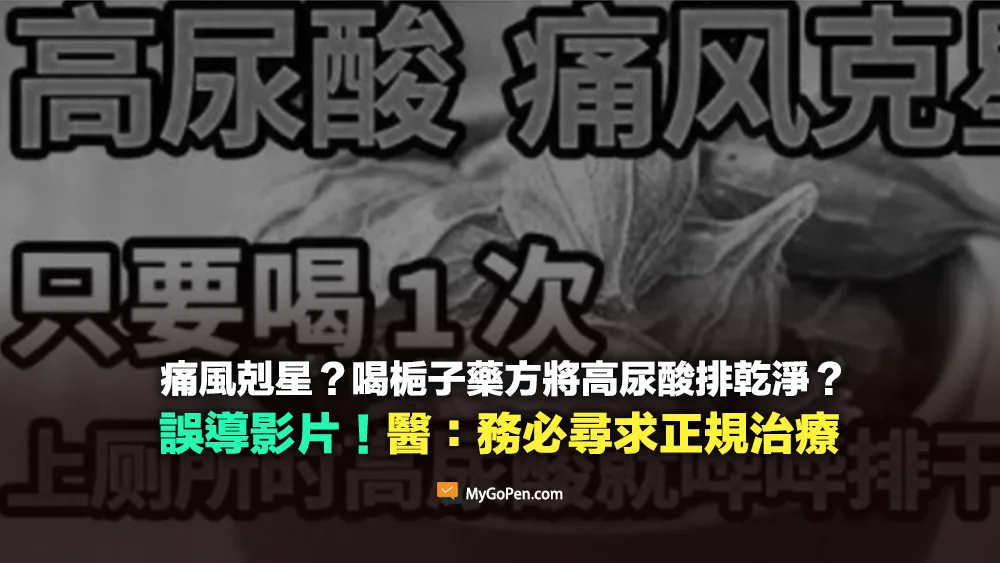 【錯誤】痛風剋星？喝梔子藥方就能將高尿酸排乾淨？醫：務必尋求正規治療