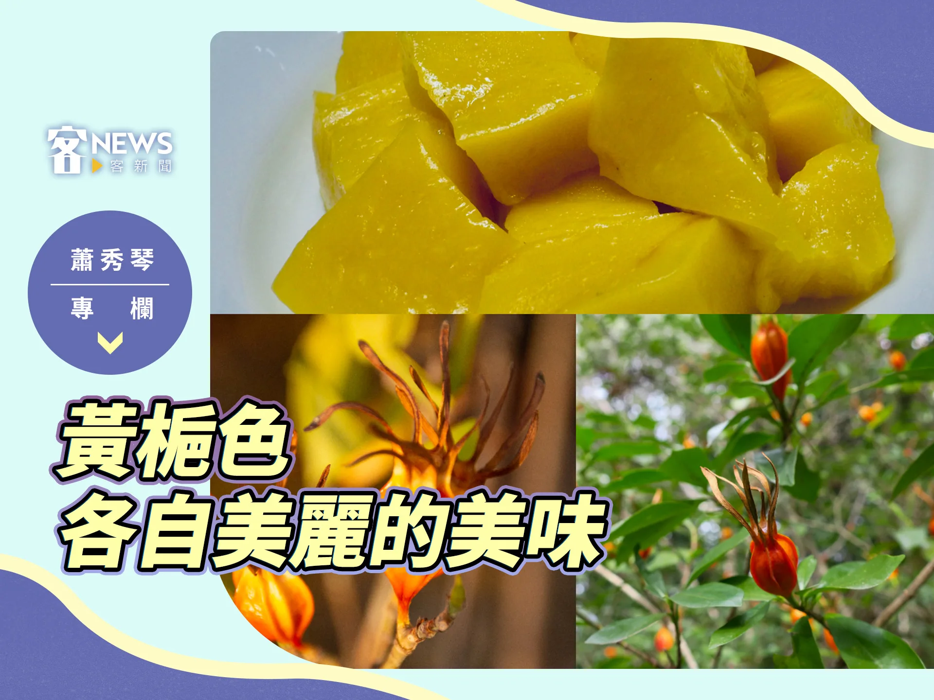 蕭秀琴專欄／黃梔色，各自美麗的美味