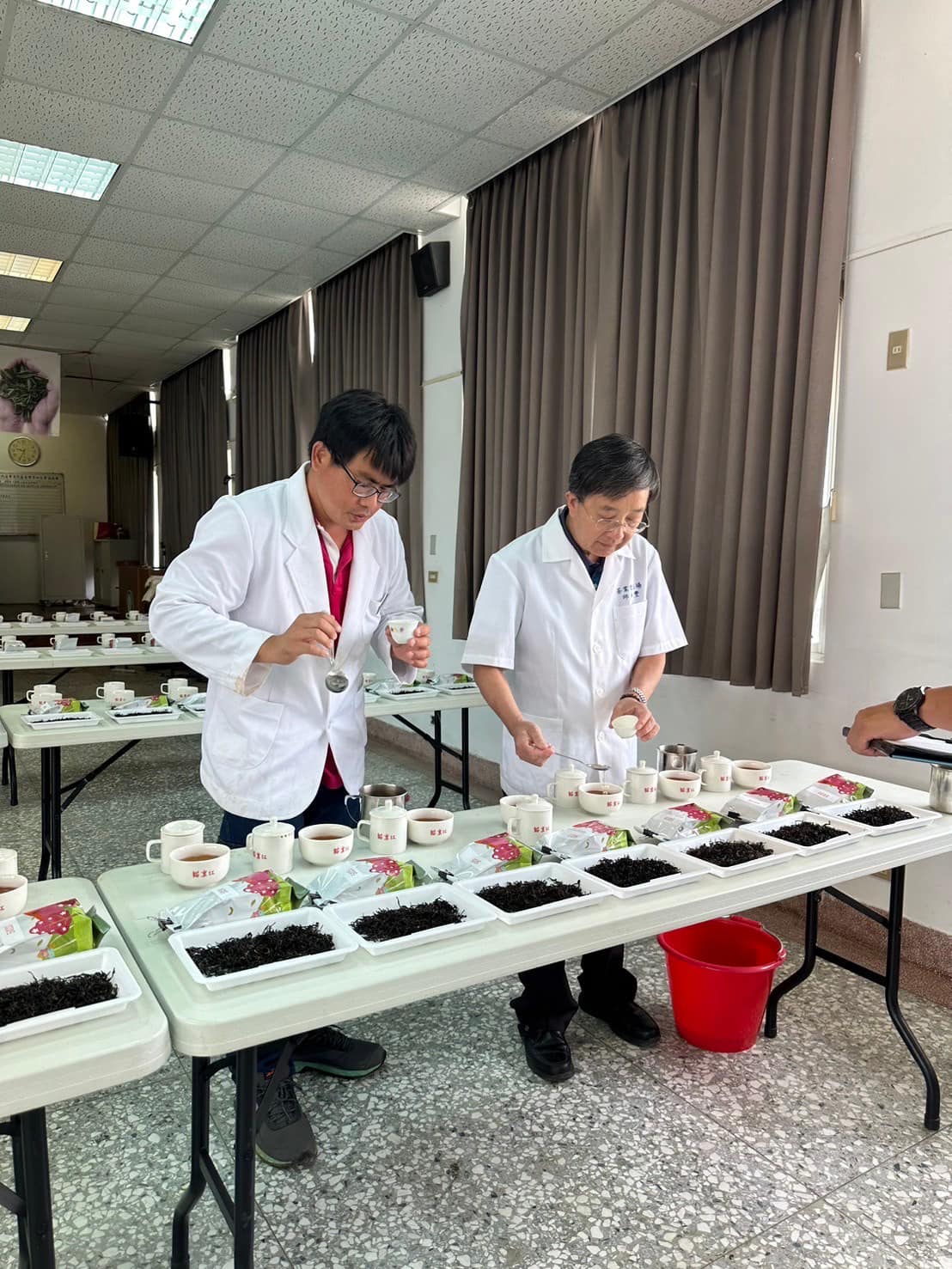 評審委員細細品嘗每一個報名參賽的茶。苗栗市農會提供