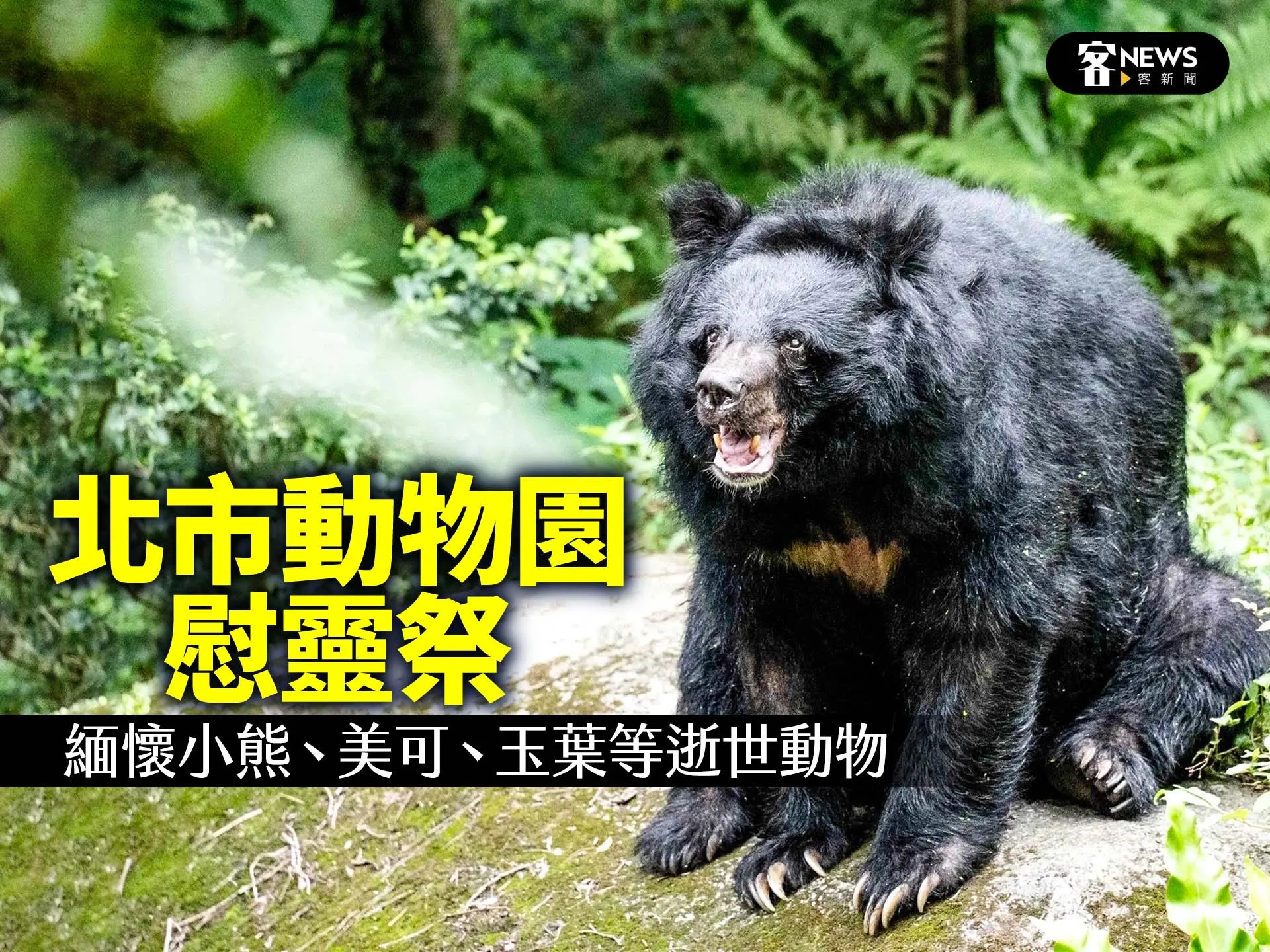北市動物園慰靈祭　緬懷小熊、美可、玉葉等逝世動物