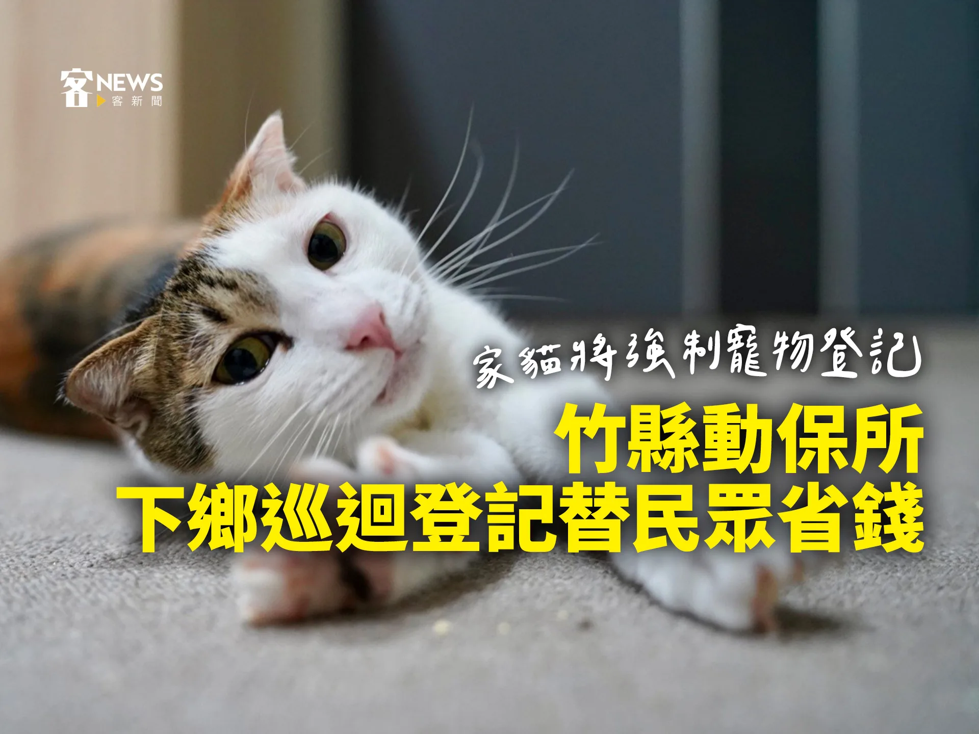 家貓將強制寵物登記　竹縣動保所下鄉巡迴登記替民眾省錢