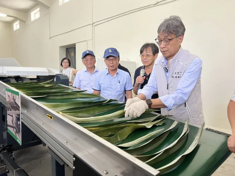 參訪屏東鳳梨葉取纖機　陳駿季：全株利用是典範