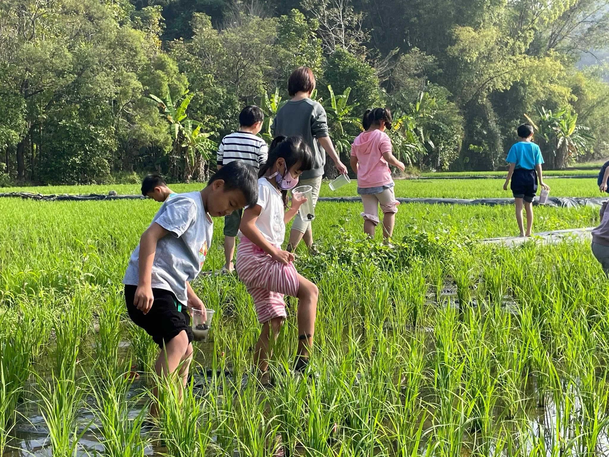 高雄美濃龍肚國小推行食農教育，讓孩子親近土地。龍肚國小提供
