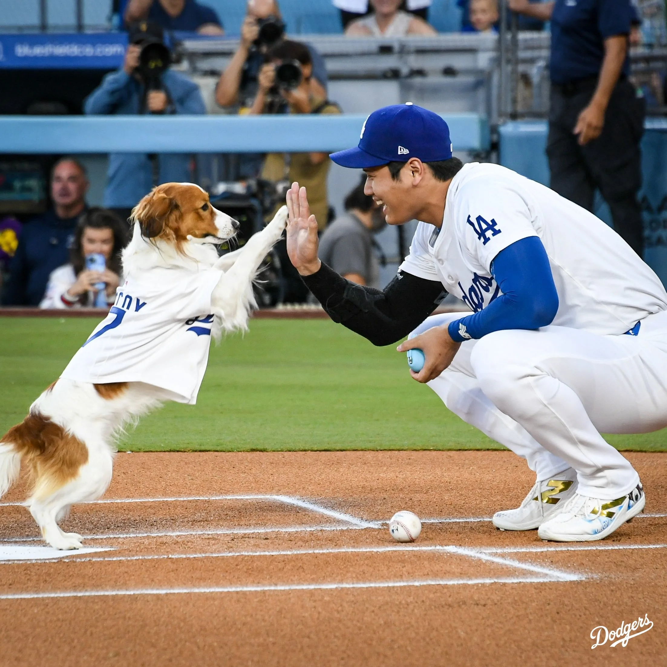 大谷翔平與愛犬Decoy。圖取自X/Los Angeles Dodgers
