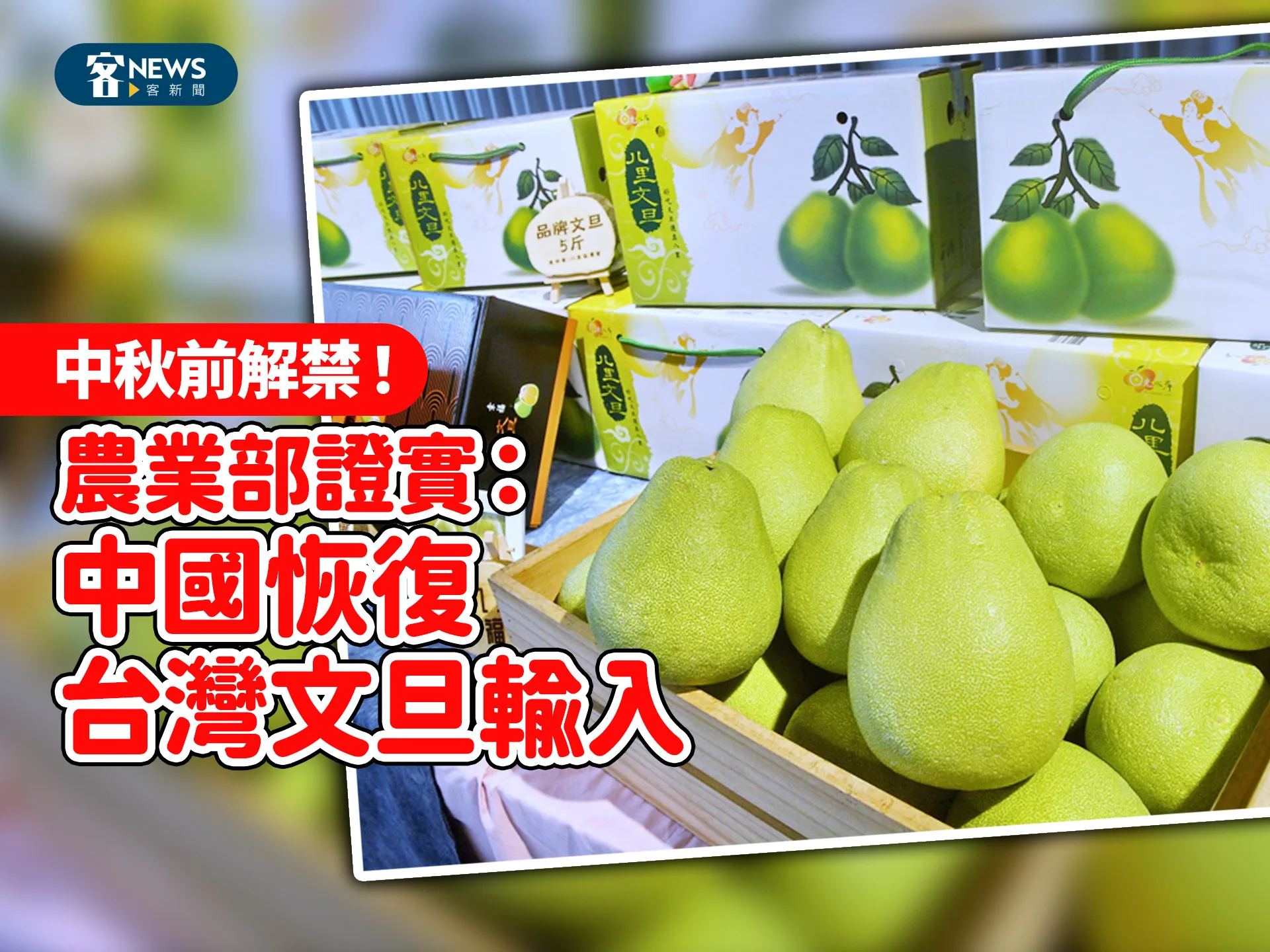 中秋前解禁！　農業部證實：中國恢復台灣文旦輸入