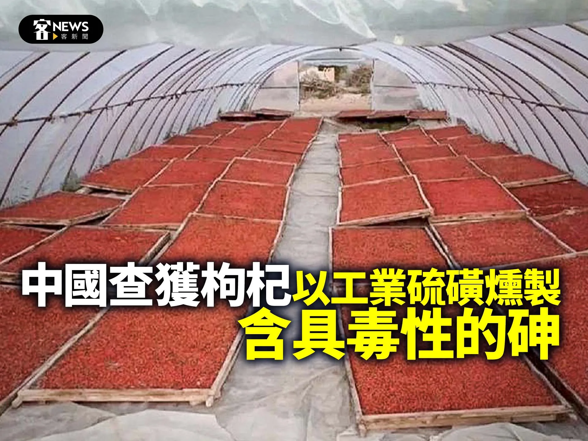 中國查獲有枸杞以工業硫磺燻製　含具毒性的砷