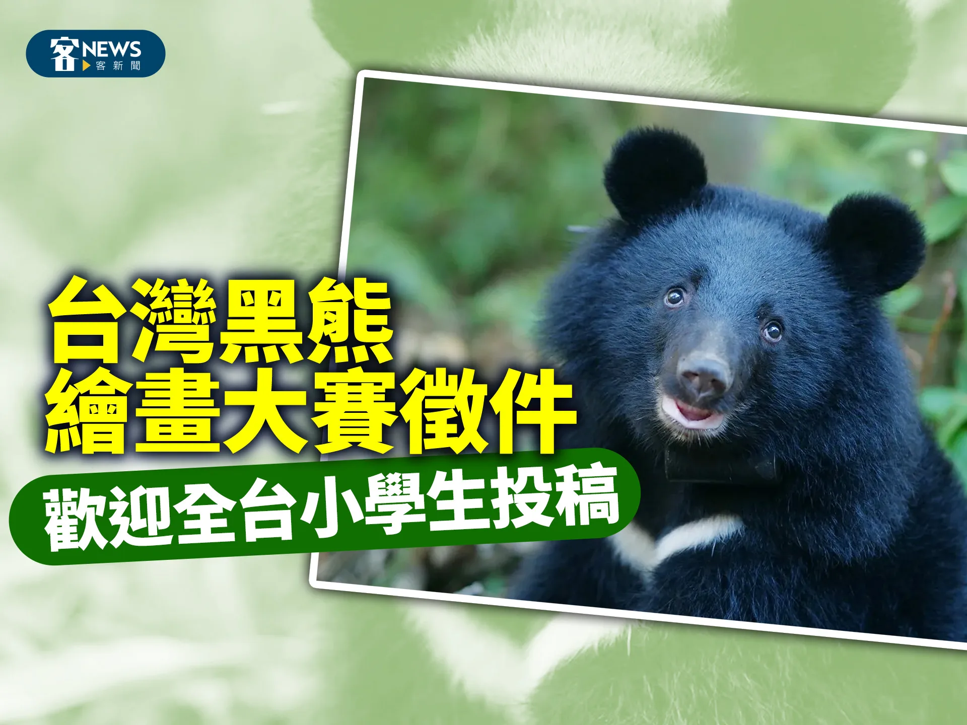 台灣黑熊繪畫大賽徵件　歡迎全台小學生投稿