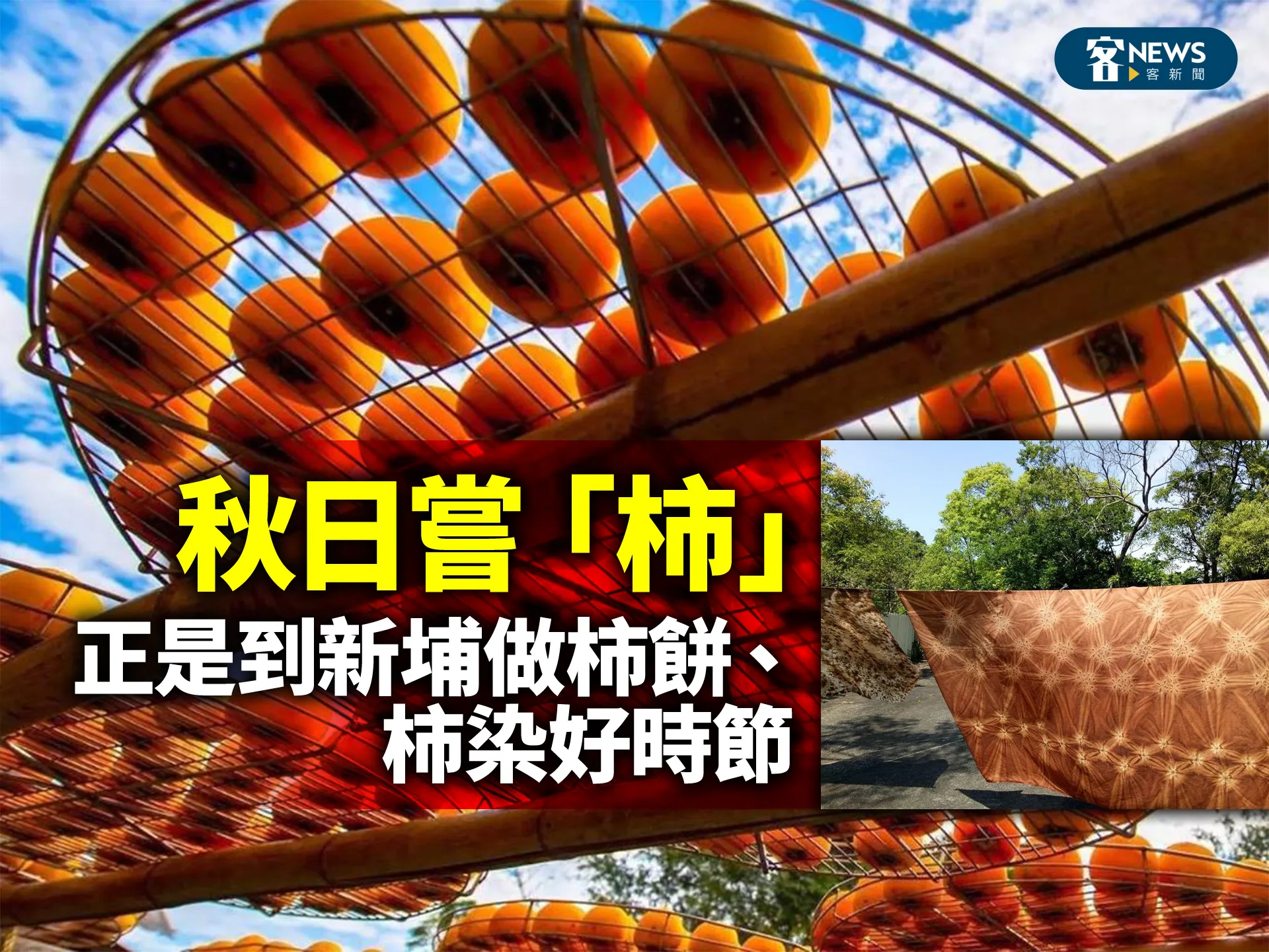 秋日嘗「柿」　正是到新埔做柿餅、柿染好時節