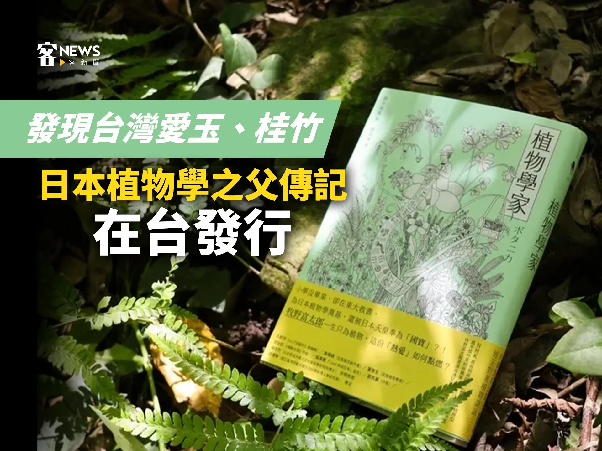發現台灣愛玉、桂竹　日本植物學之父傳記在台發行