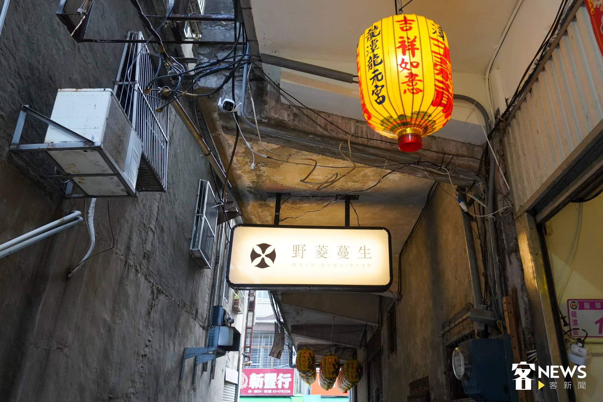藏在龍潭龍華路小巷中，由地方創生青年團隊營運的空間「野菱蔓生」。朱愷元攝
