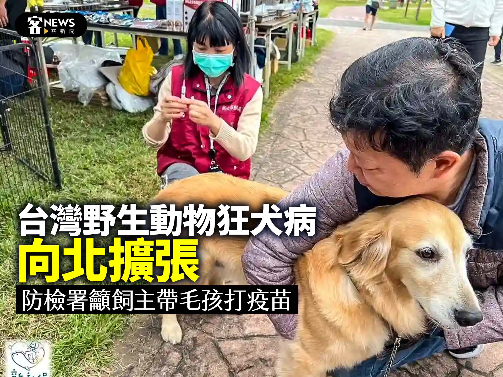 台灣野生動物狂犬病向北擴張　防檢署籲飼主帶毛孩打疫苗