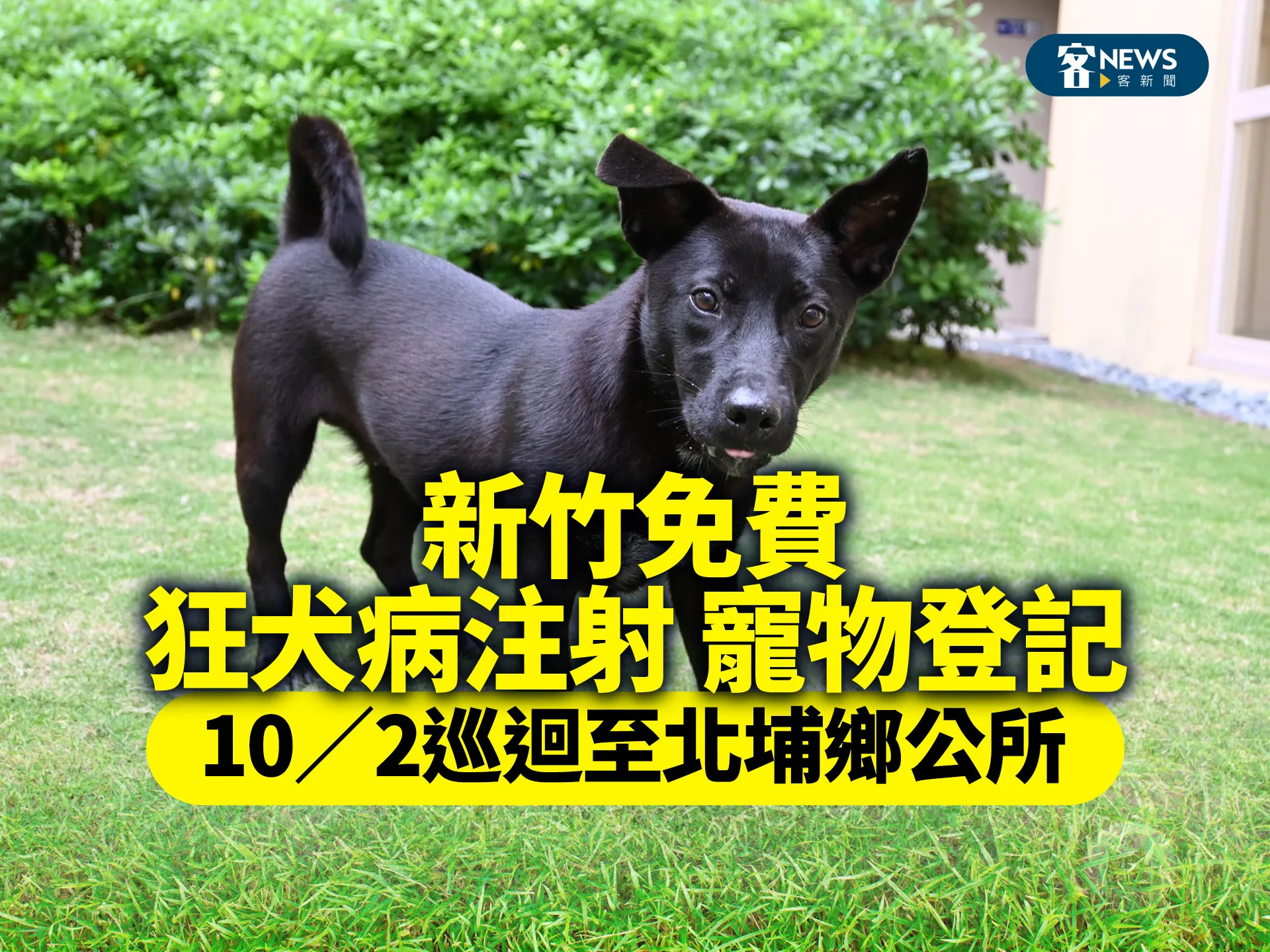 新竹免費狂犬病注射、寵物登記　10／2巡迴至北埔鄉公所