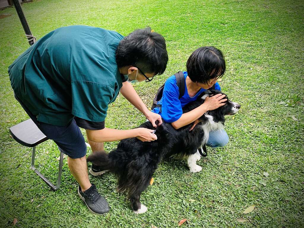 動保處提醒毛爸媽每年為家中犬貓完成狂犬病疫苗補強。台北市動物保護處提供