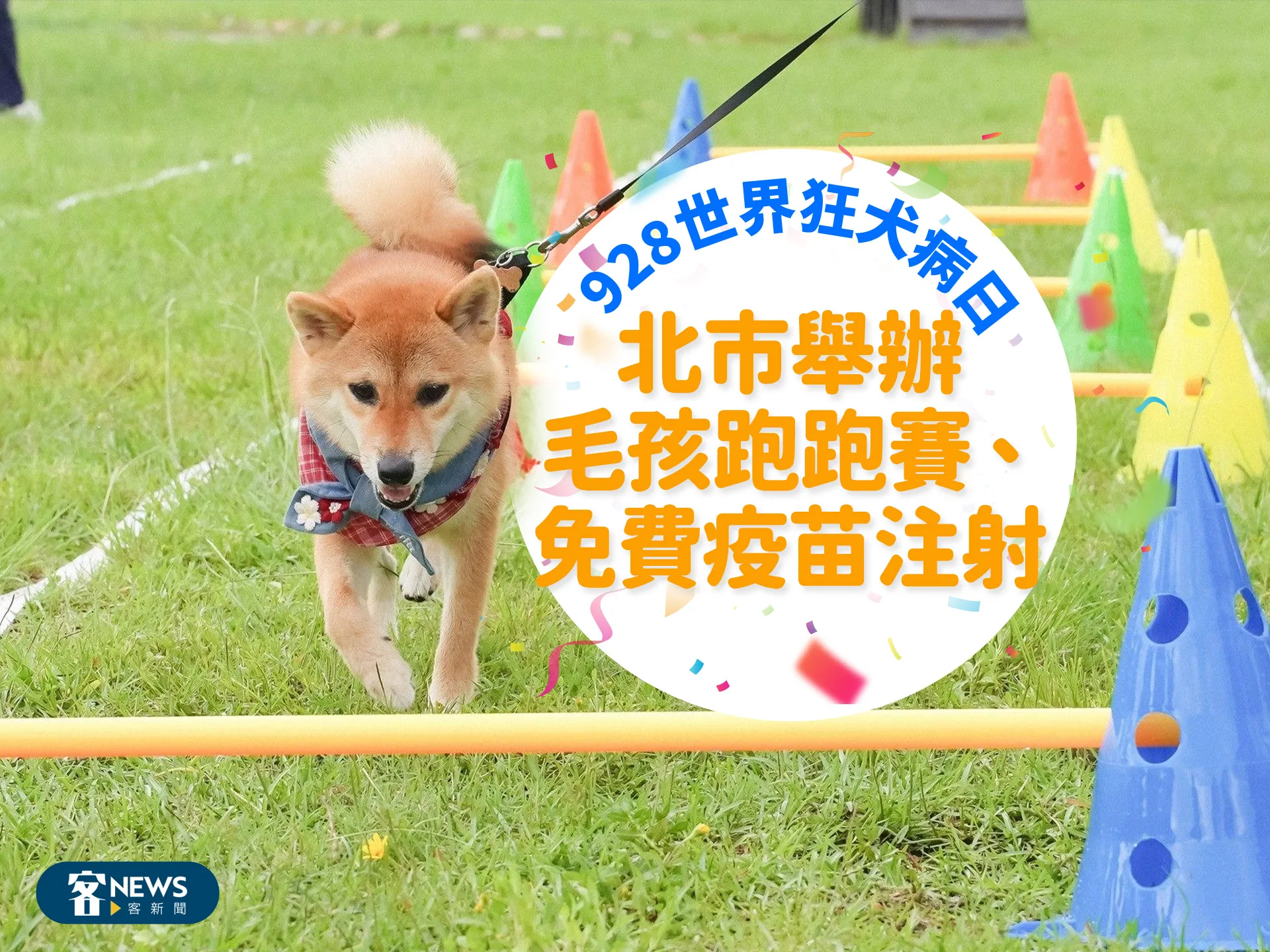 928世界狂犬病日　北市舉辦毛孩跑跑賽、免費疫苗注射