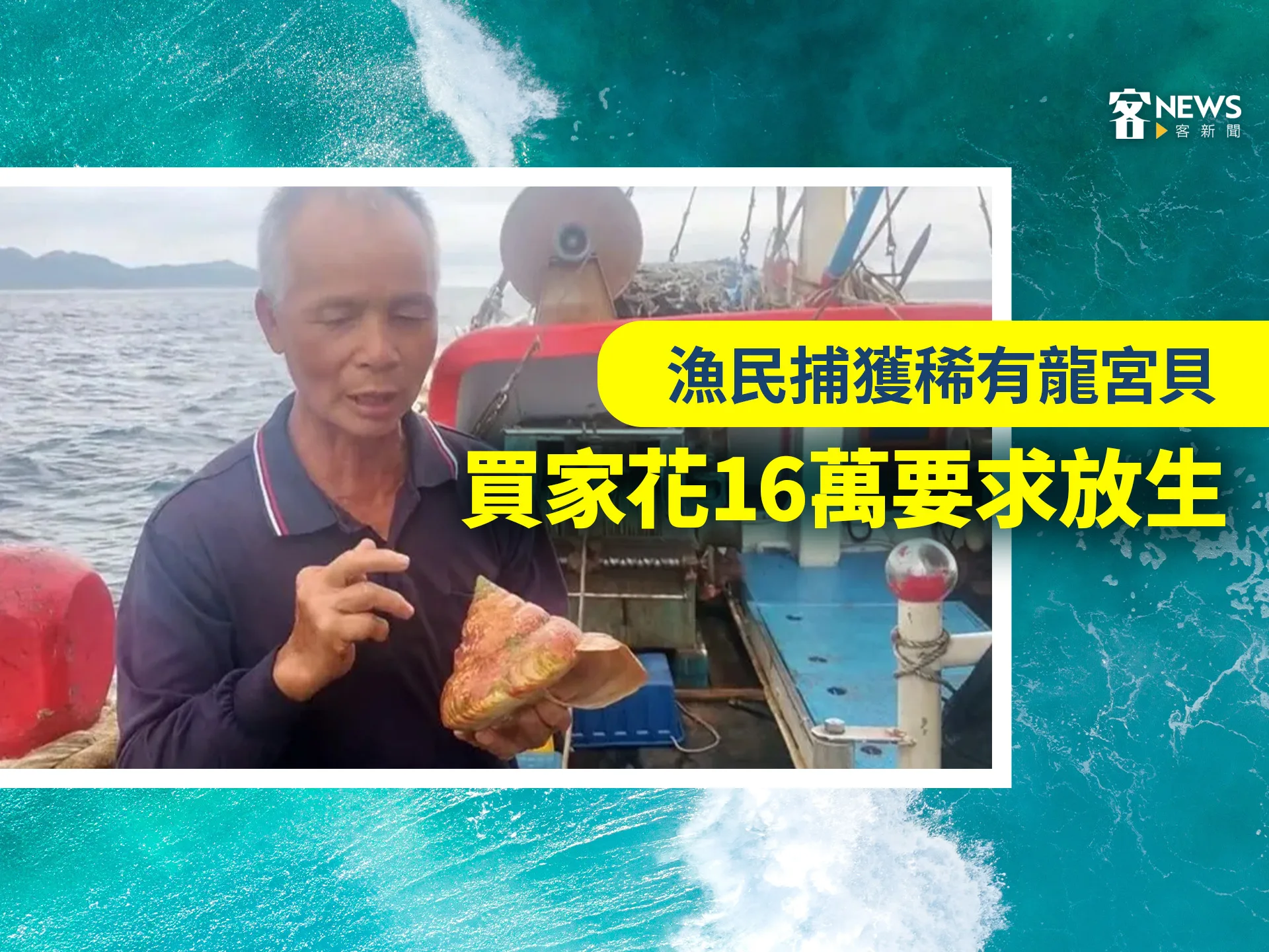 漁民捕獲稀有龍宮貝　買家花16萬要求放生