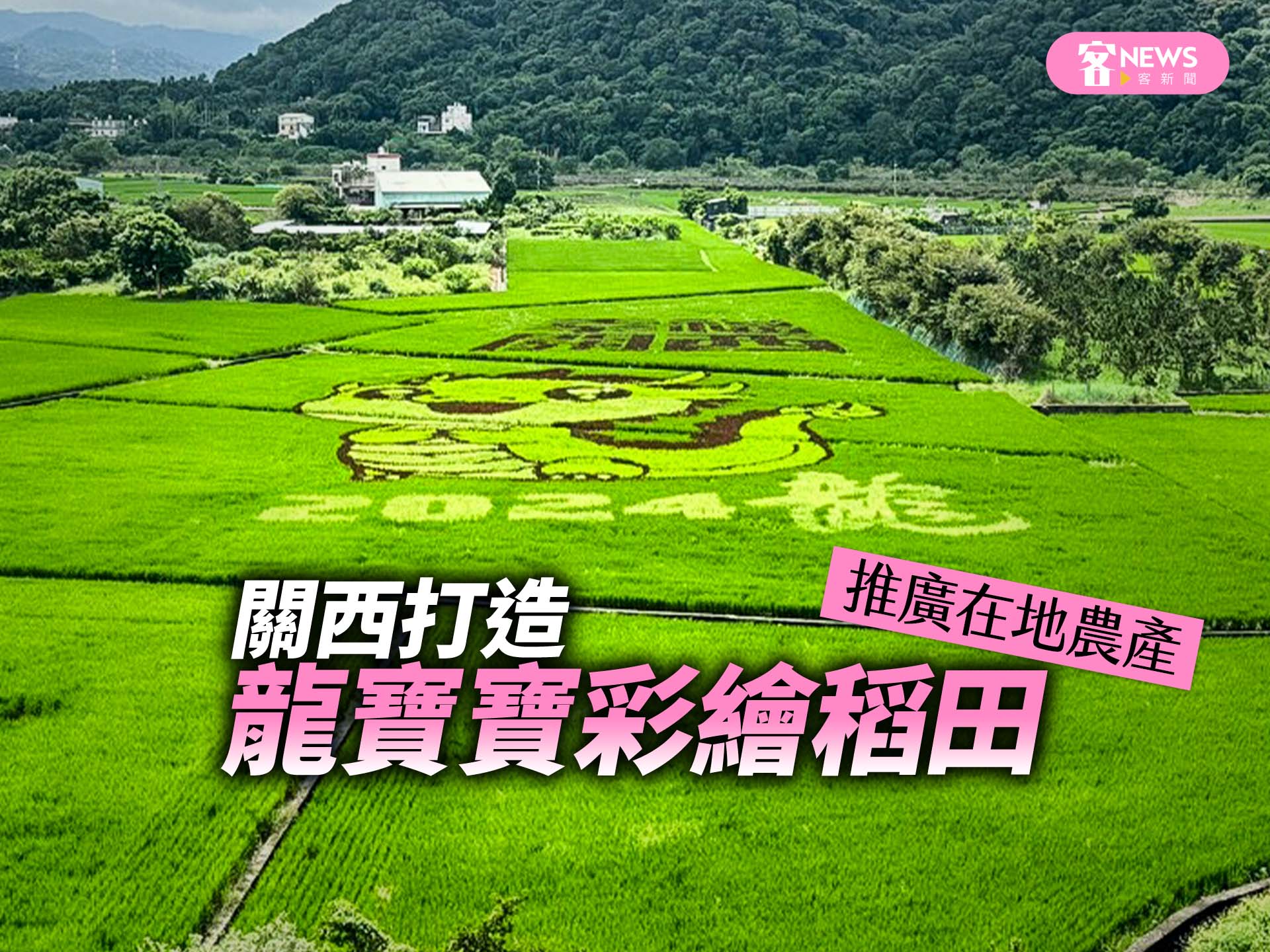 關西打造龍寶寶彩繪稻田　推廣在地農產