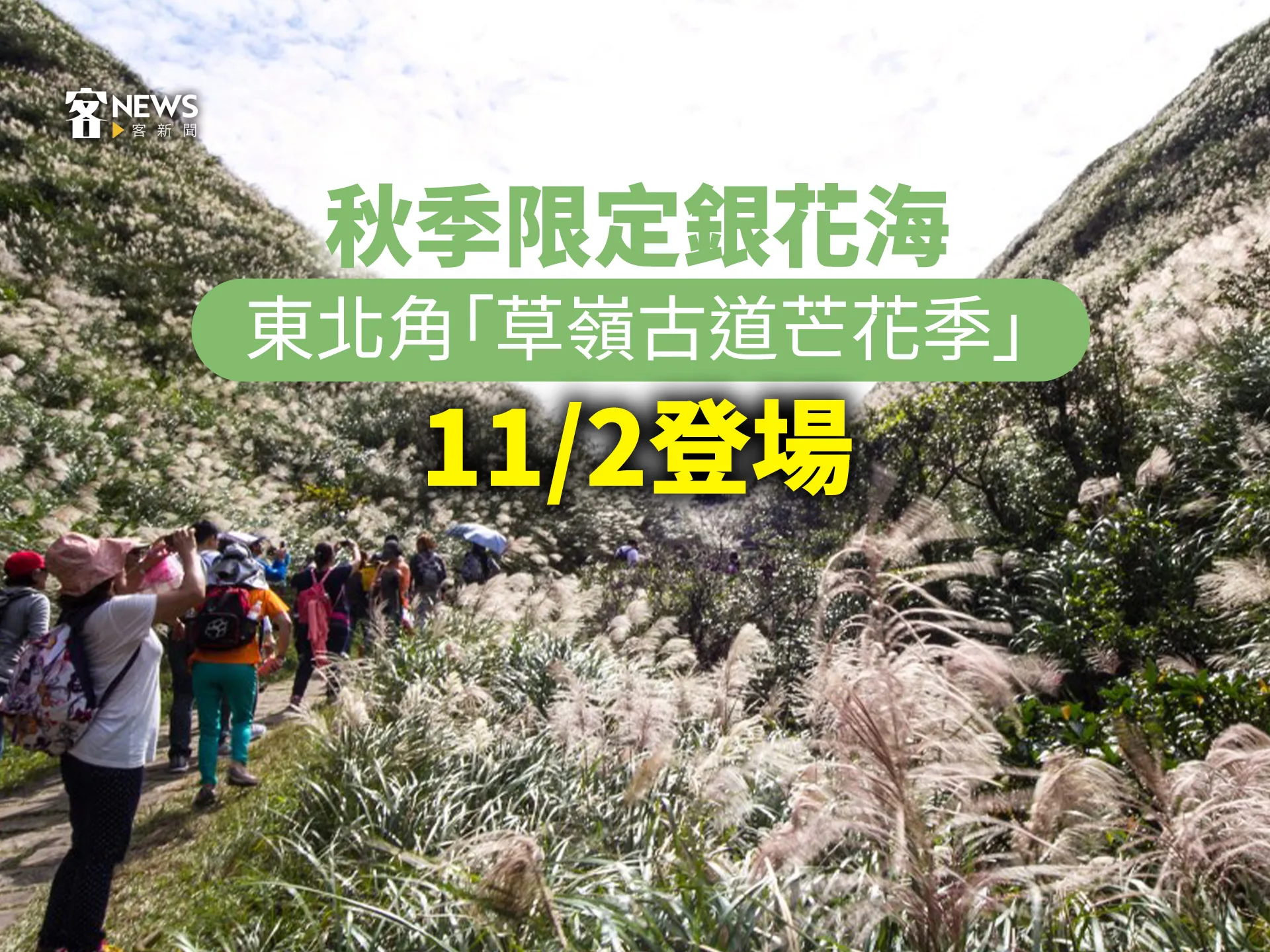 秋季限定銀花海　東北角「草嶺古道芒花季」11／2登場