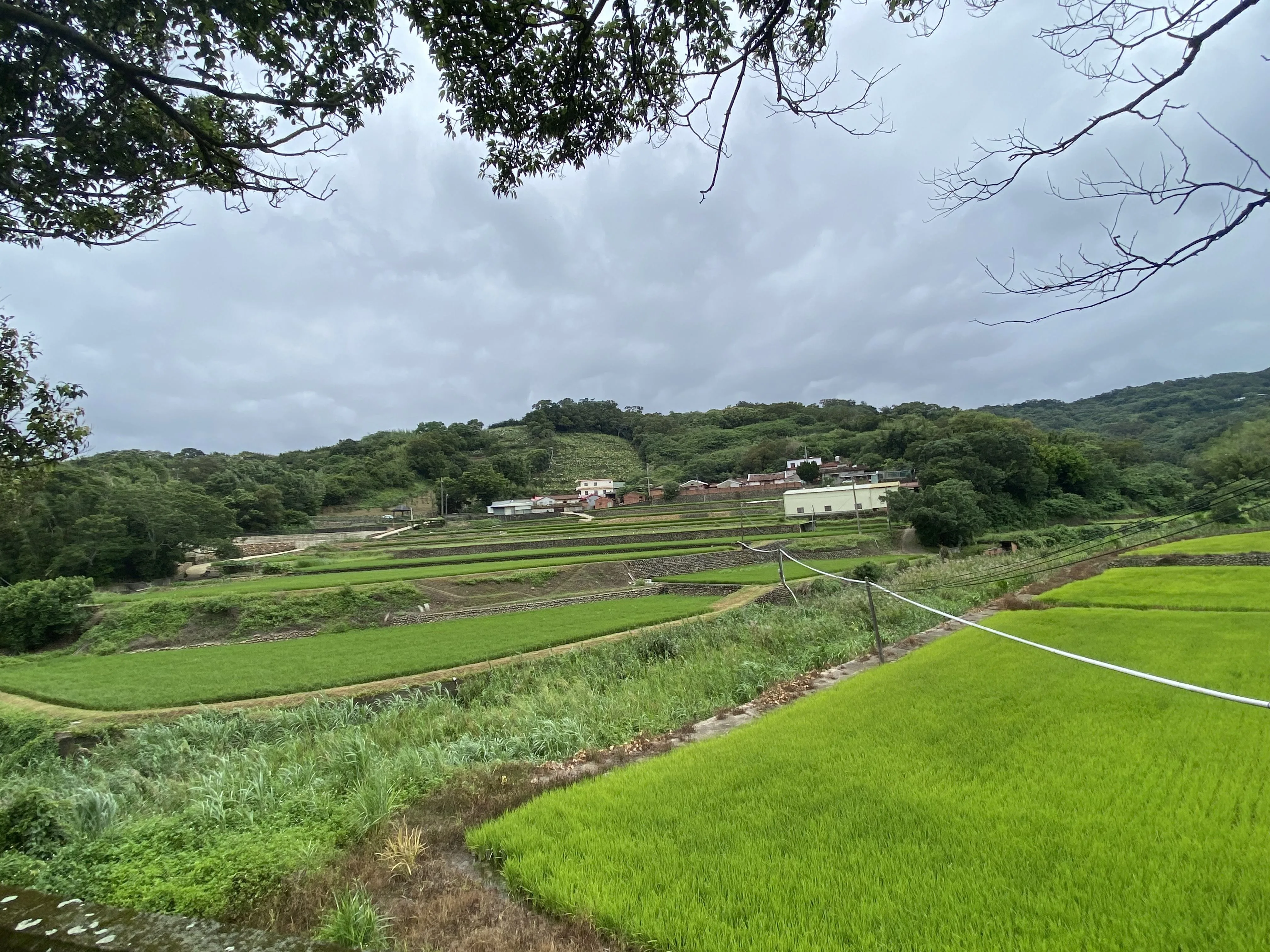 新竹石梯田,資料照。竹縣府提供