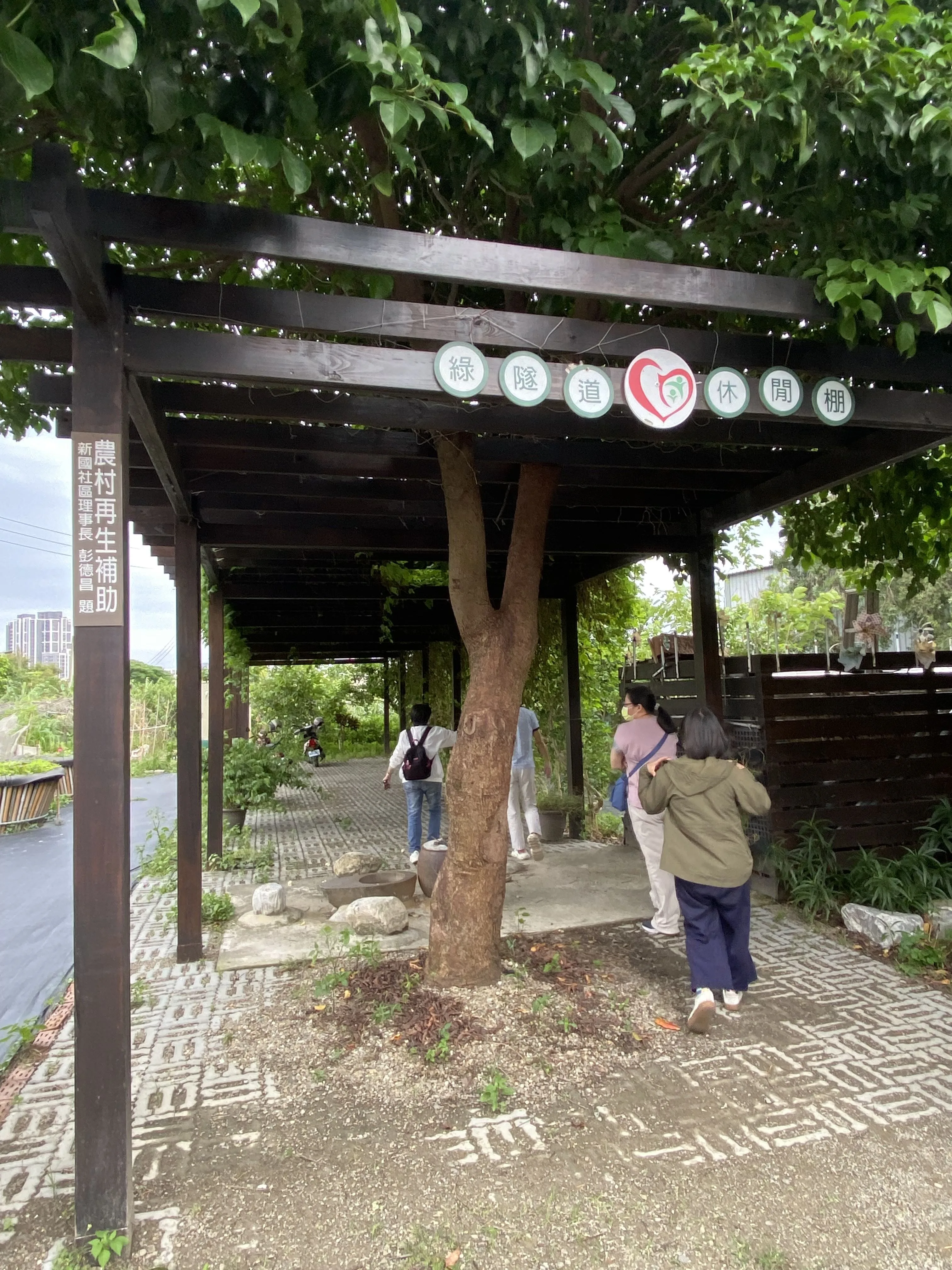 竹北市新國社區的食物森林展現了環境永續的理念。竹縣府提供