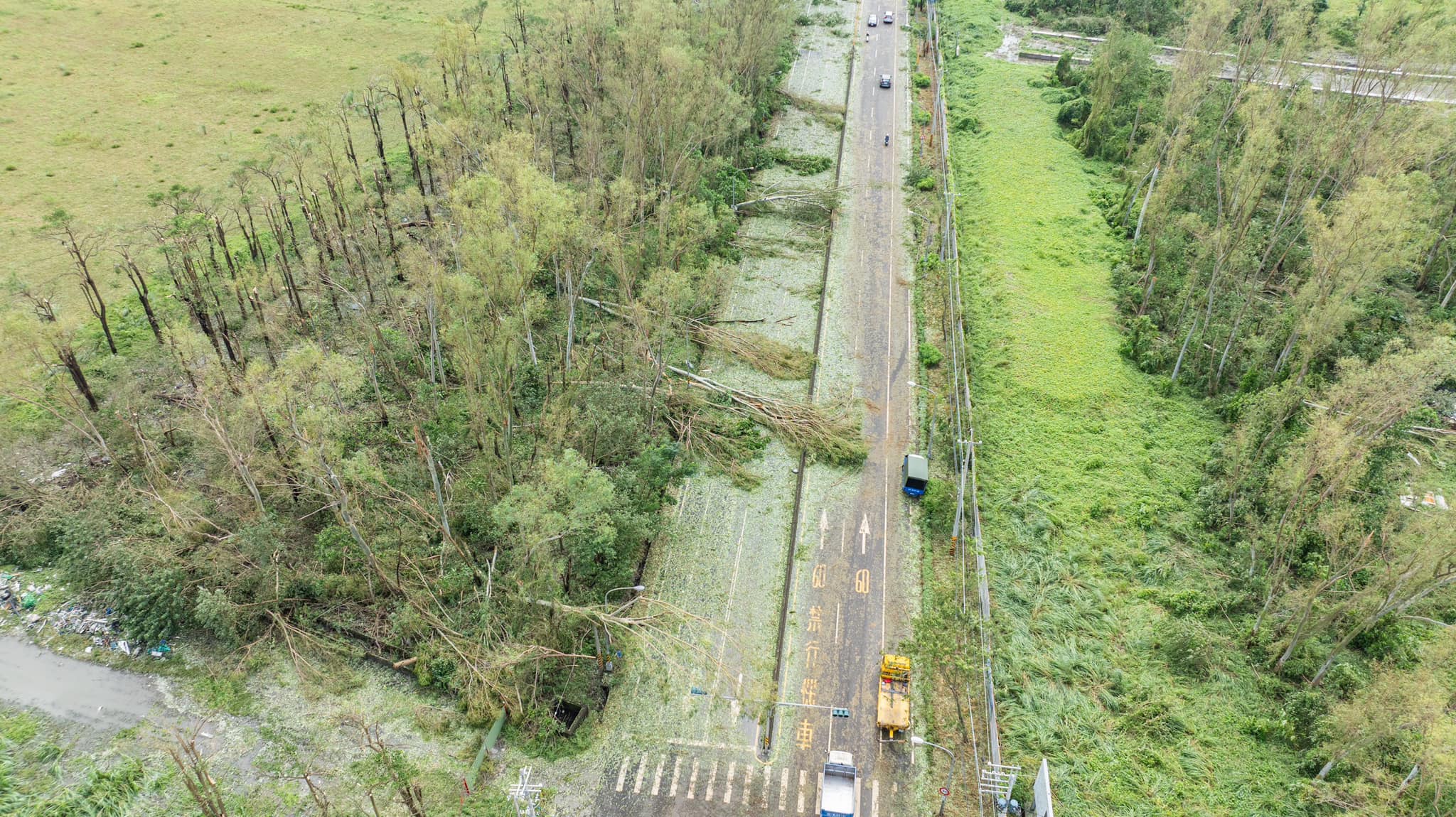 屏東市189縣道路樹倒塌佔用車道。取自周春米臉書