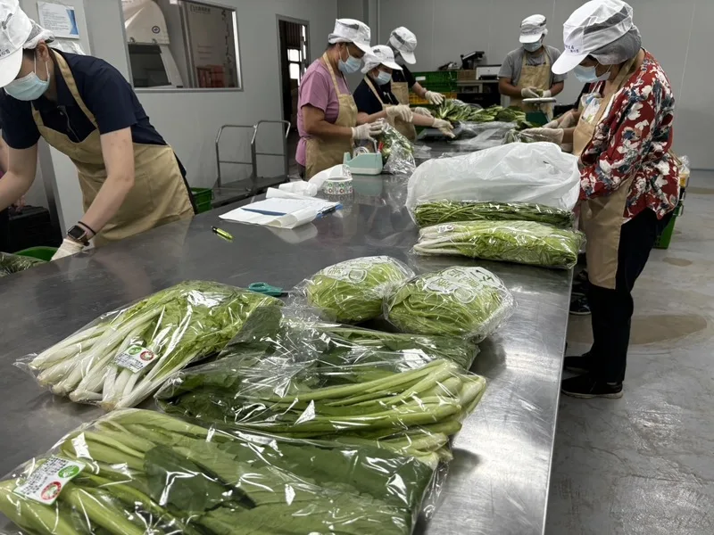 有機蔬菜因停課無法供應給學校,透過網路團購銷售後,反應相當熱烈。中央社