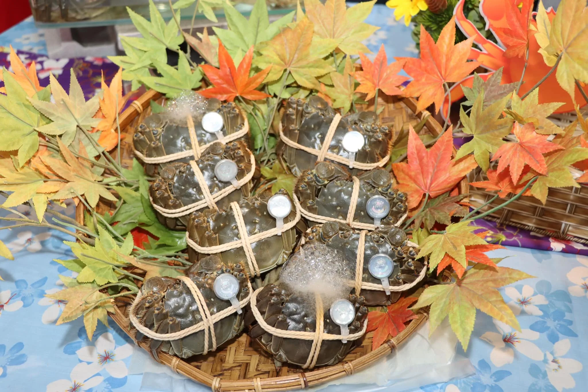 苗栗產銷協會強調「今年絕不漲價！」呼籲民眾購買產地直銷的大閘蟹。苗栗縣政府提供