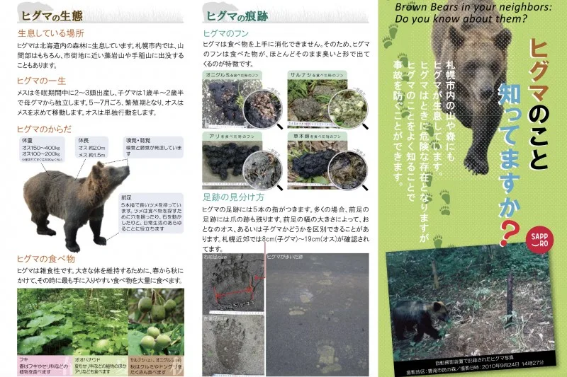 日本目擊熊出沒與傷人事件越來越多。翻攝札幌市官網