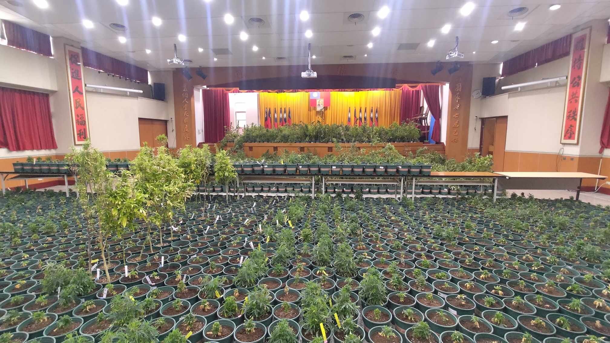 查扣大麻植株、大麻種子、大麻膏、大麻成品等，市值破20億元，為台灣治安史上最大宗大麻植株案。竹市府提供