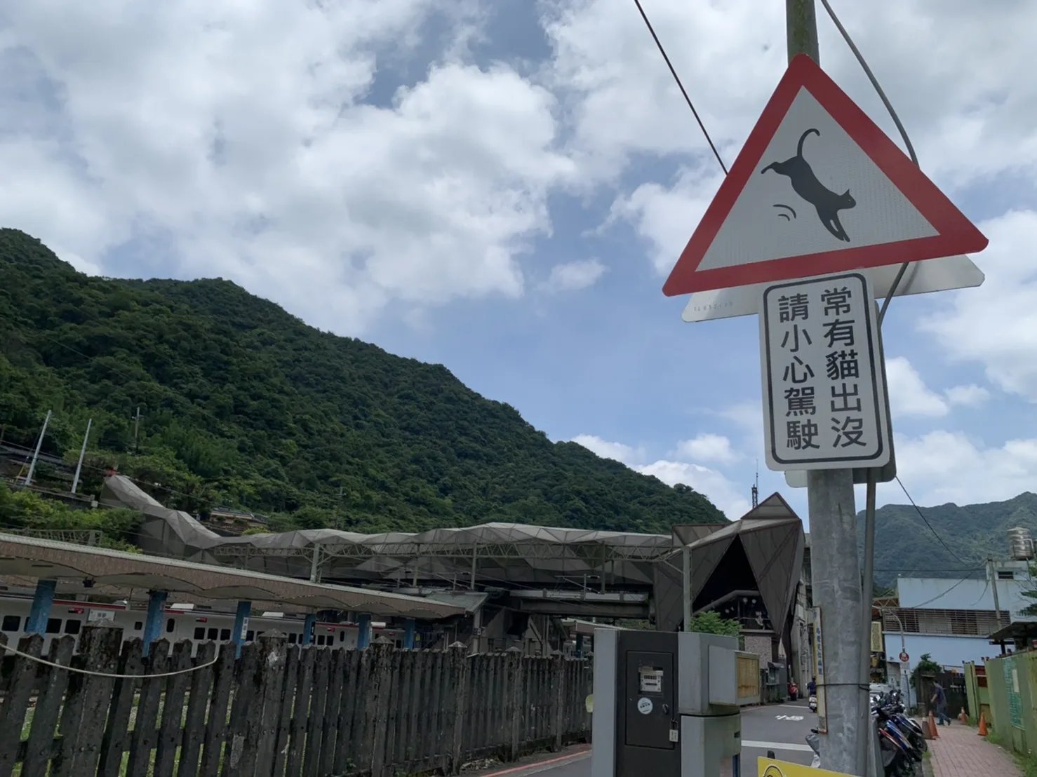 猴硐火車站周遭設置當心貓咪牌面。新北交通局提供