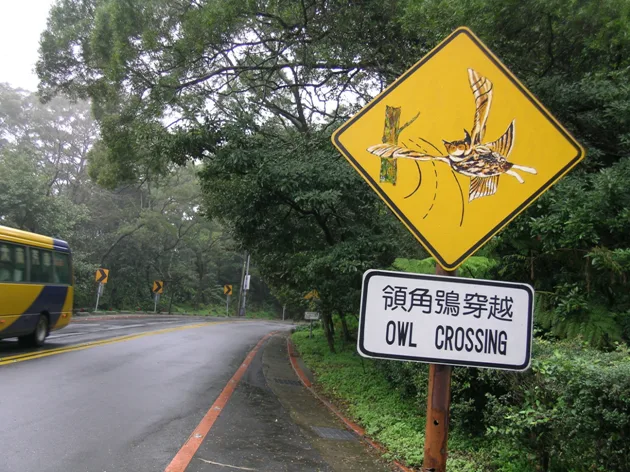 全台第一個有實際改善路殺作為的單位為陽明山國家公園,圖為當地的動物路標之一。翻攝自台灣動物路死觀察網