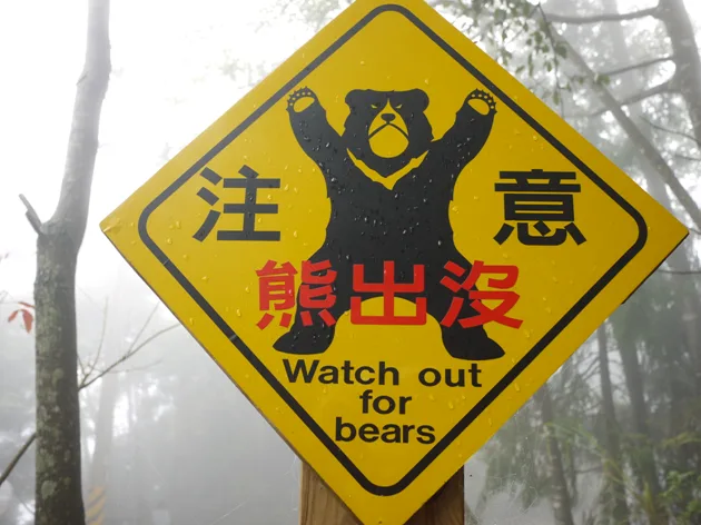 林務局東勢林管處在大雪山林道設有黑熊警示牌。翻攝自台灣動物路死觀察網