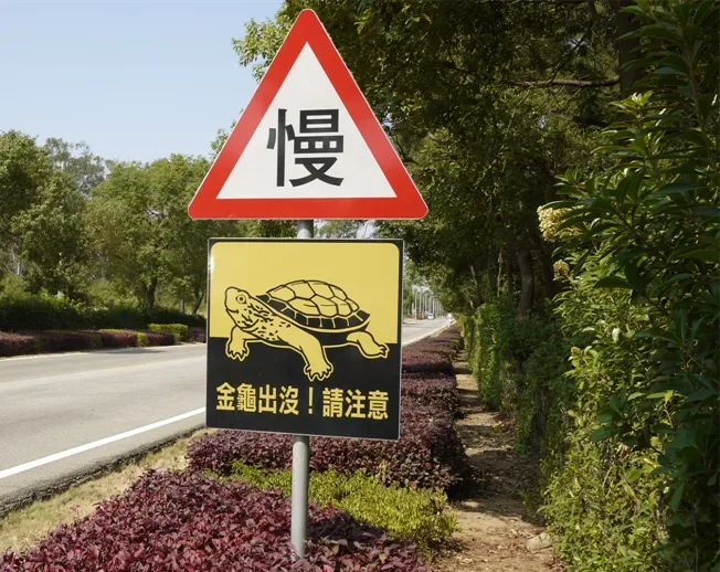 金門目前可能是國內唯一仍有金龜生存的地方。翻攝自台灣動物路死觀察網