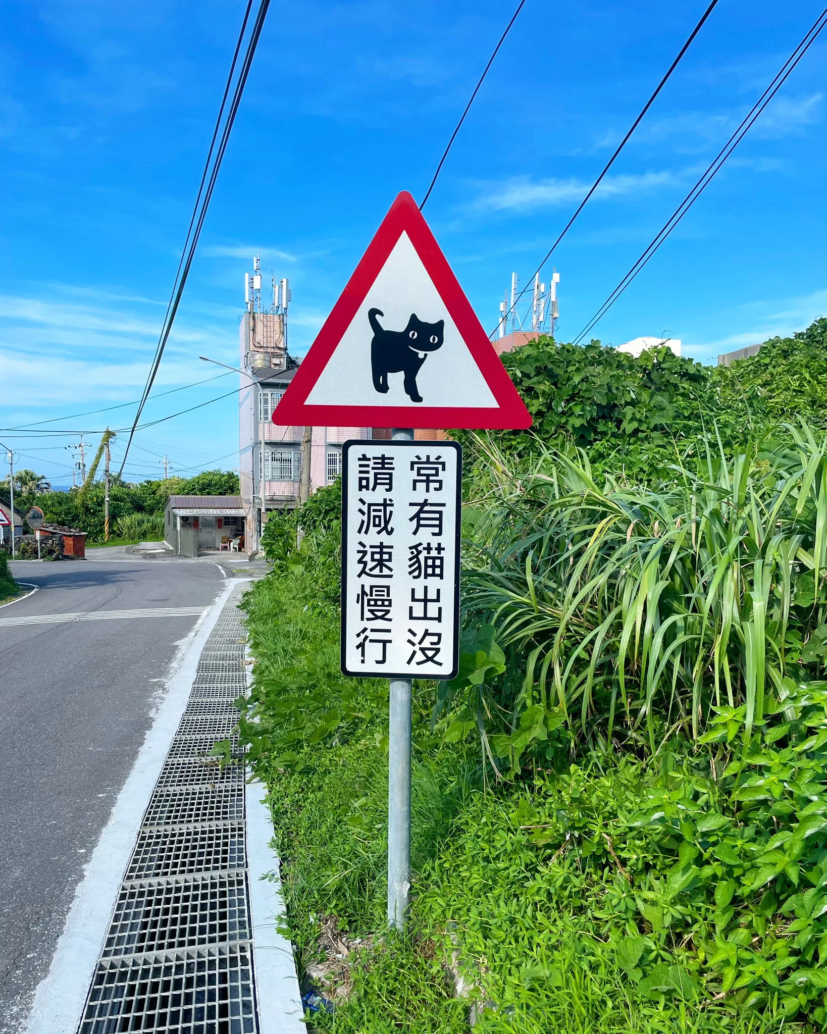台灣的貓貓路標太可愛,引起日本遊客討論。翻攝自X/dou4hua1