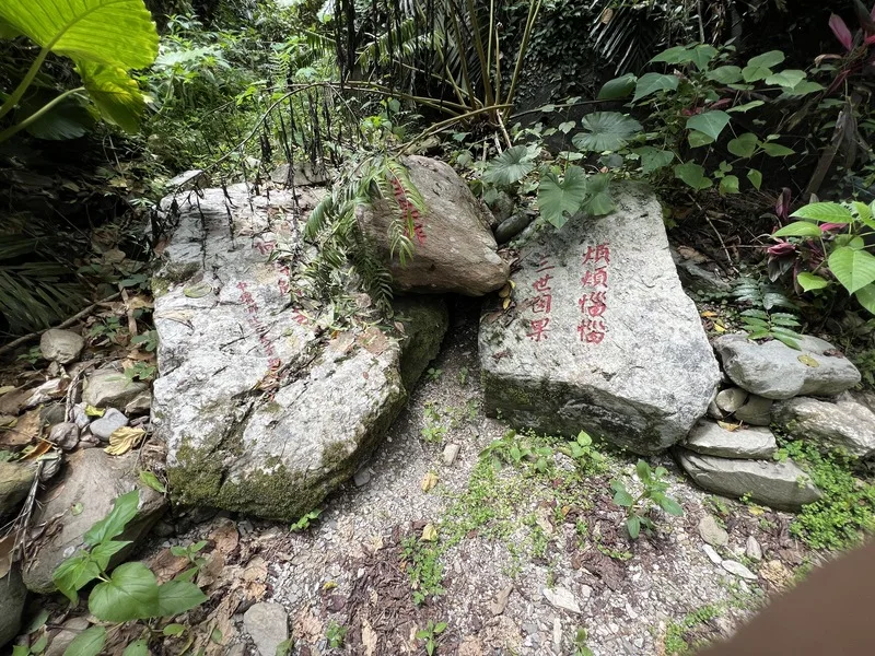 台東鹿野永安村玉龍泉　斷流2年又現湧泉