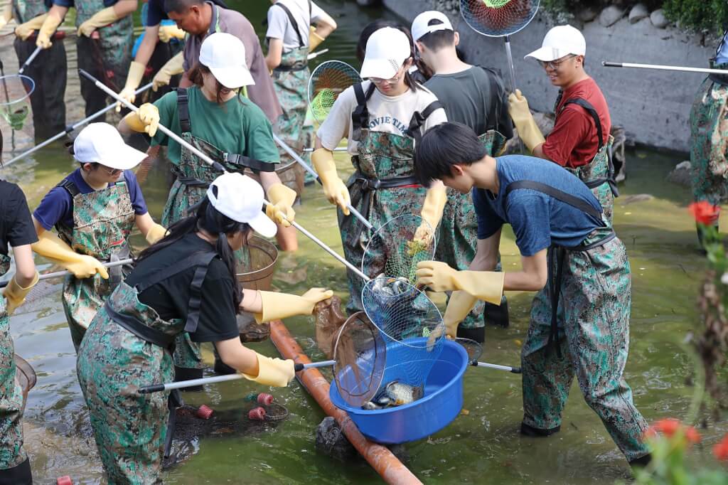 成功湖撈出吳郭魚、琵琶魚、紅魔鬼等魚類。翻攝自國立成功大學 官網