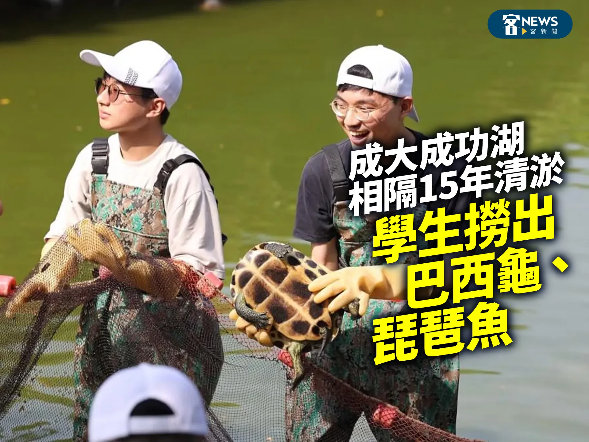 成大成功湖相隔15年清淤　學生撈出巴西龜、琵琶魚