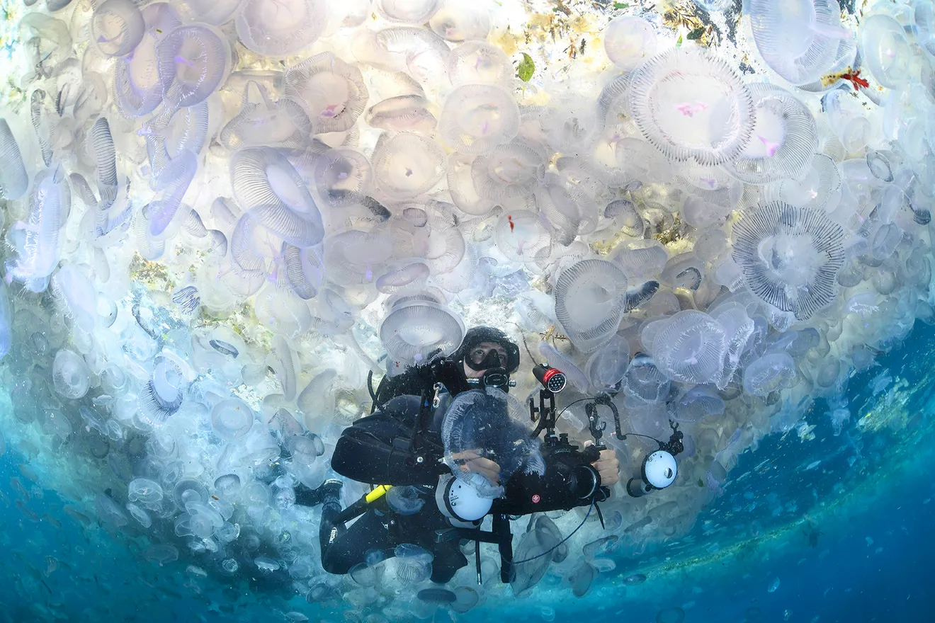 紐西蘭有「地球最後的淨土」的美譽。圖取自National Geographic